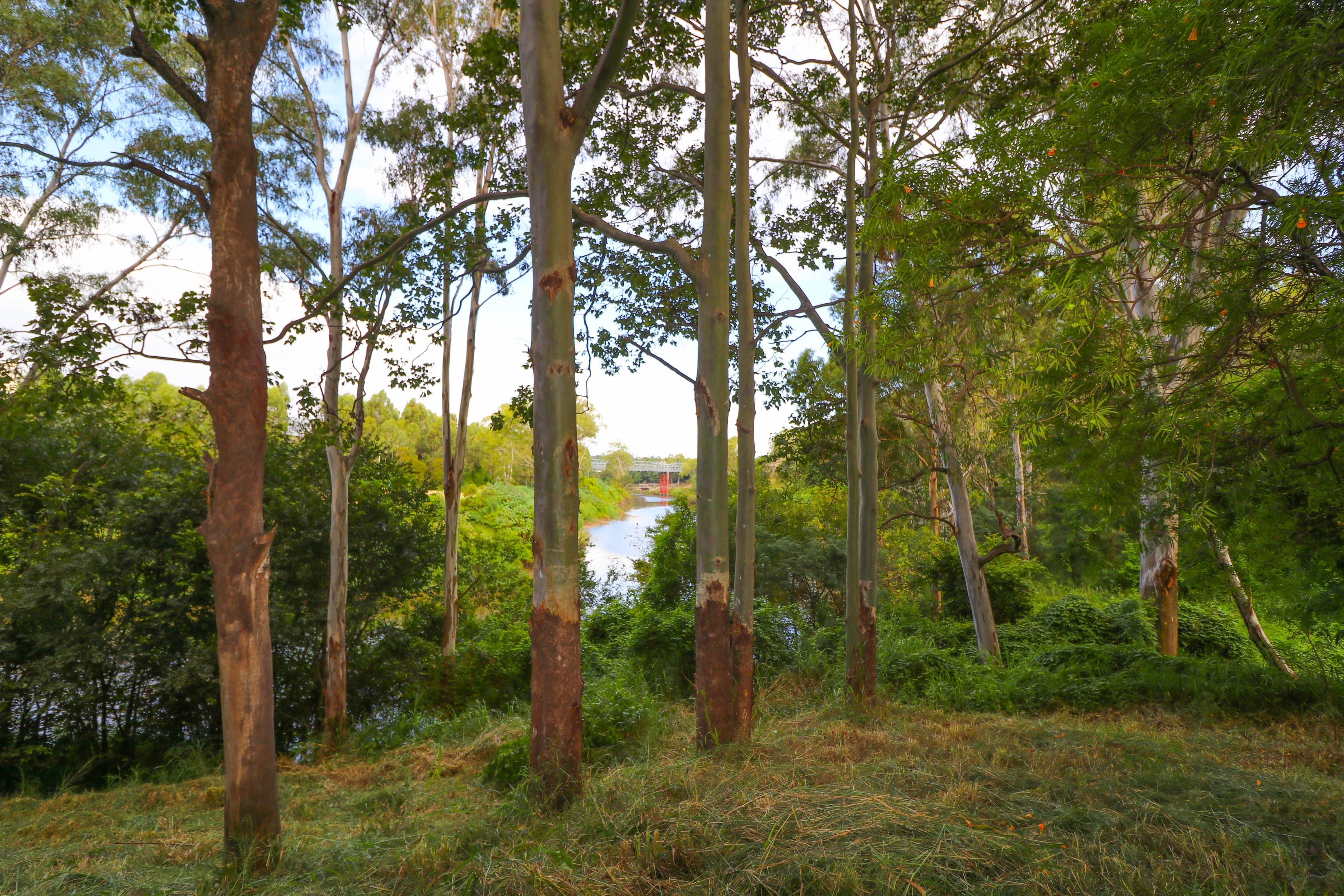 0 MacGregor Street, Woodend QLD 4305, Woodend - Thumbnail 3