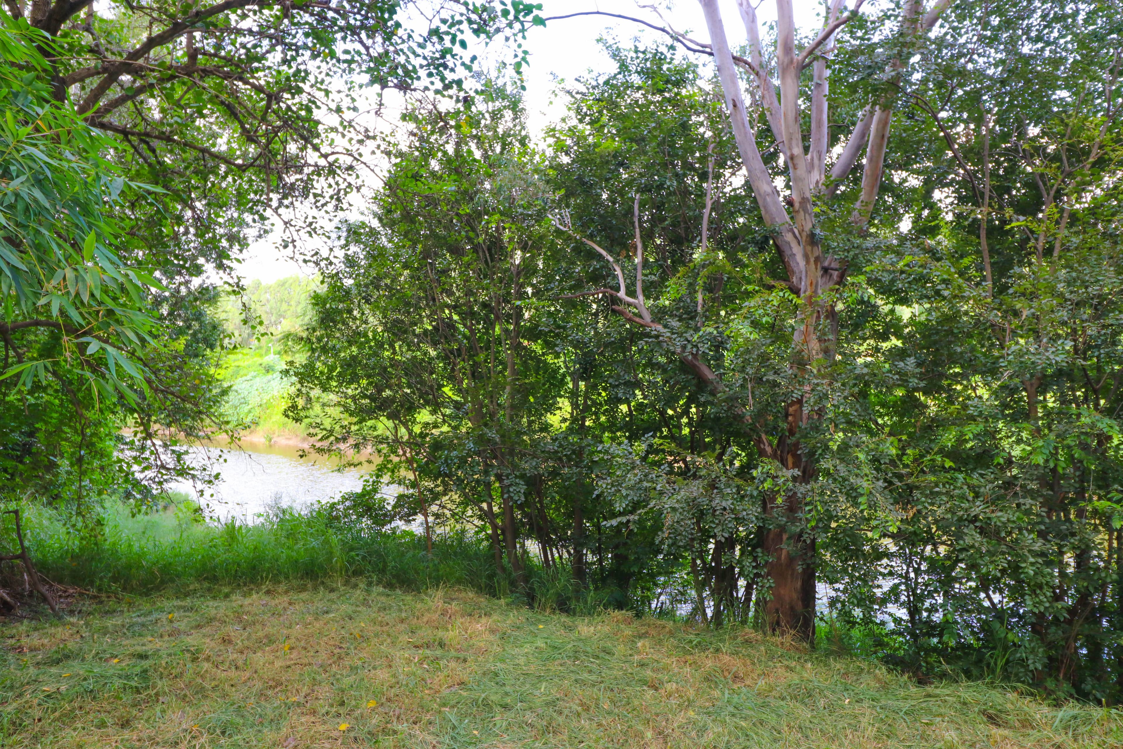 0 MacGregor Street, Woodend QLD 4305, Woodend - Thumbnail 4