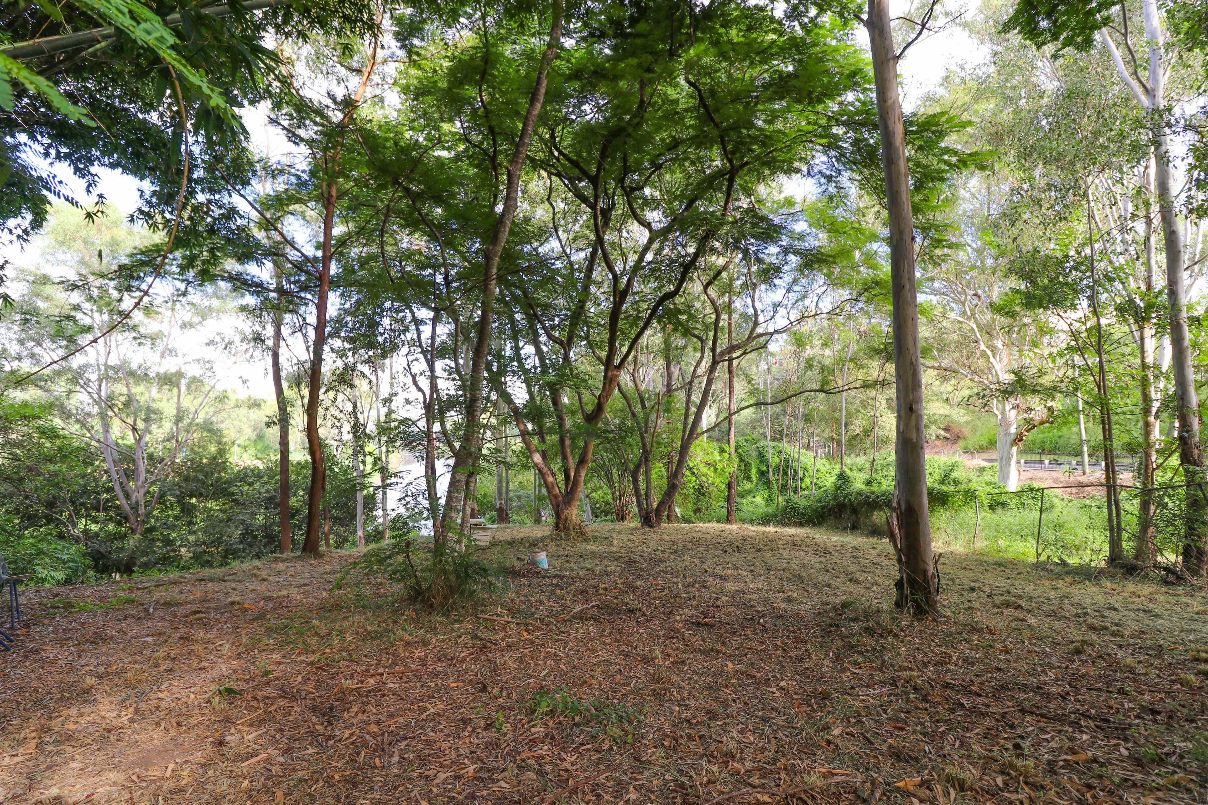 0 MacGregor Street, Woodend QLD 4305, Woodend - Thumbnail 5