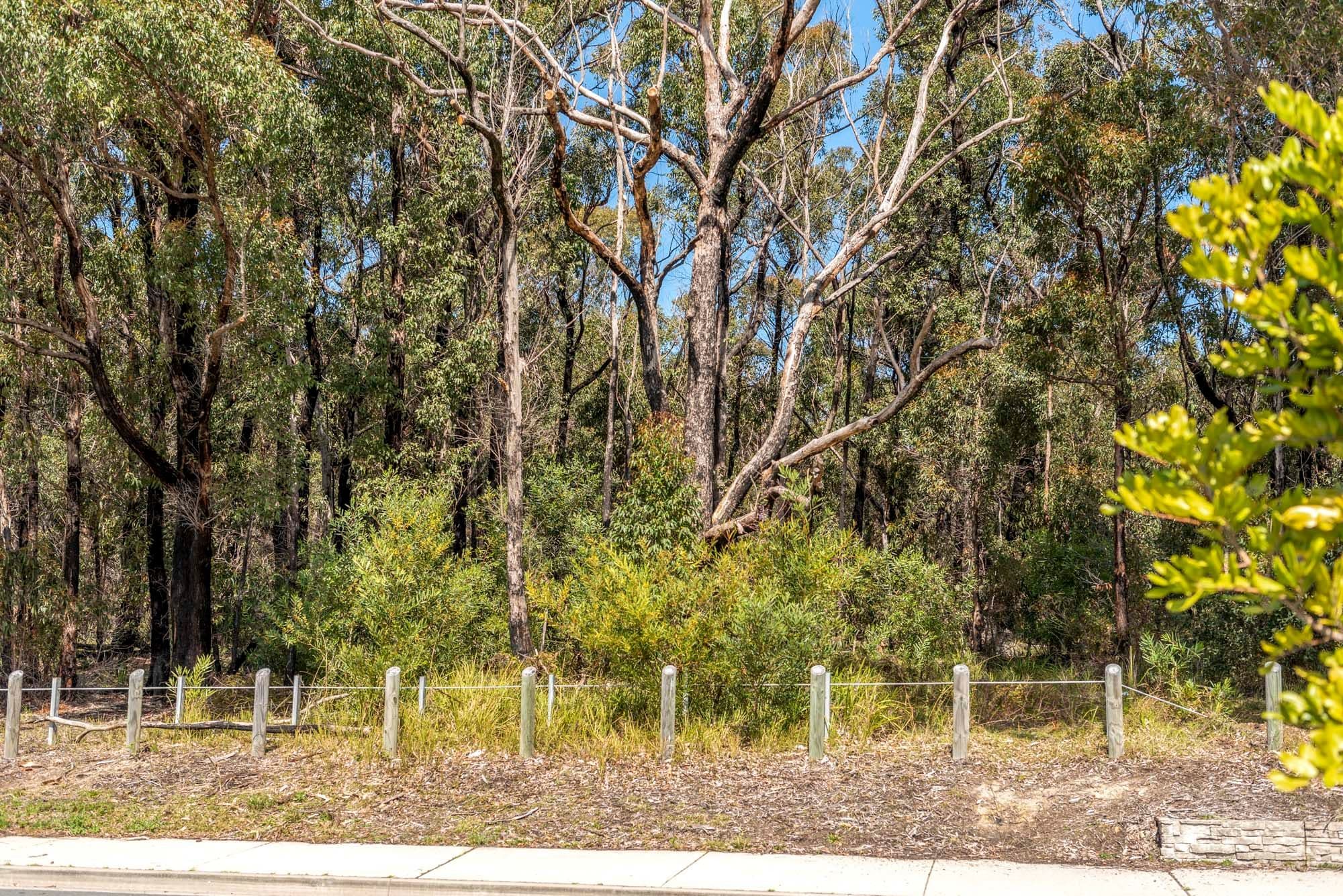 11 Pedder Drive, Burrill Lake NSW 2539, Burrill Lake - Thumbnail 4