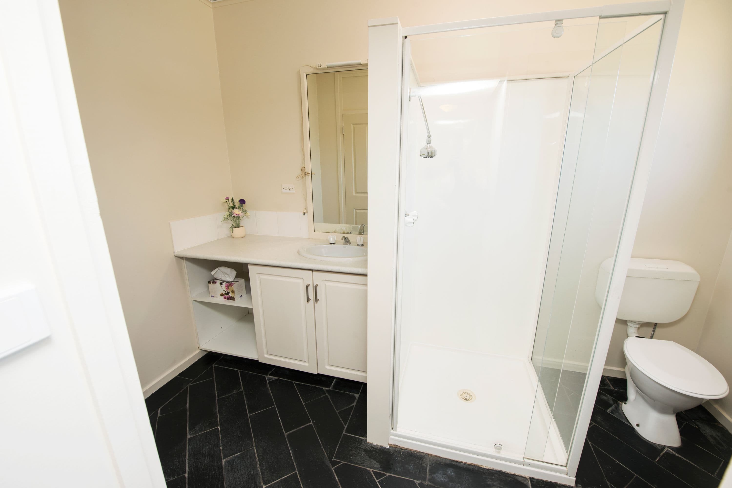21 Douglas Avenue, Swan Hill VIC 3585, Swan Hill - Thumbnail 7