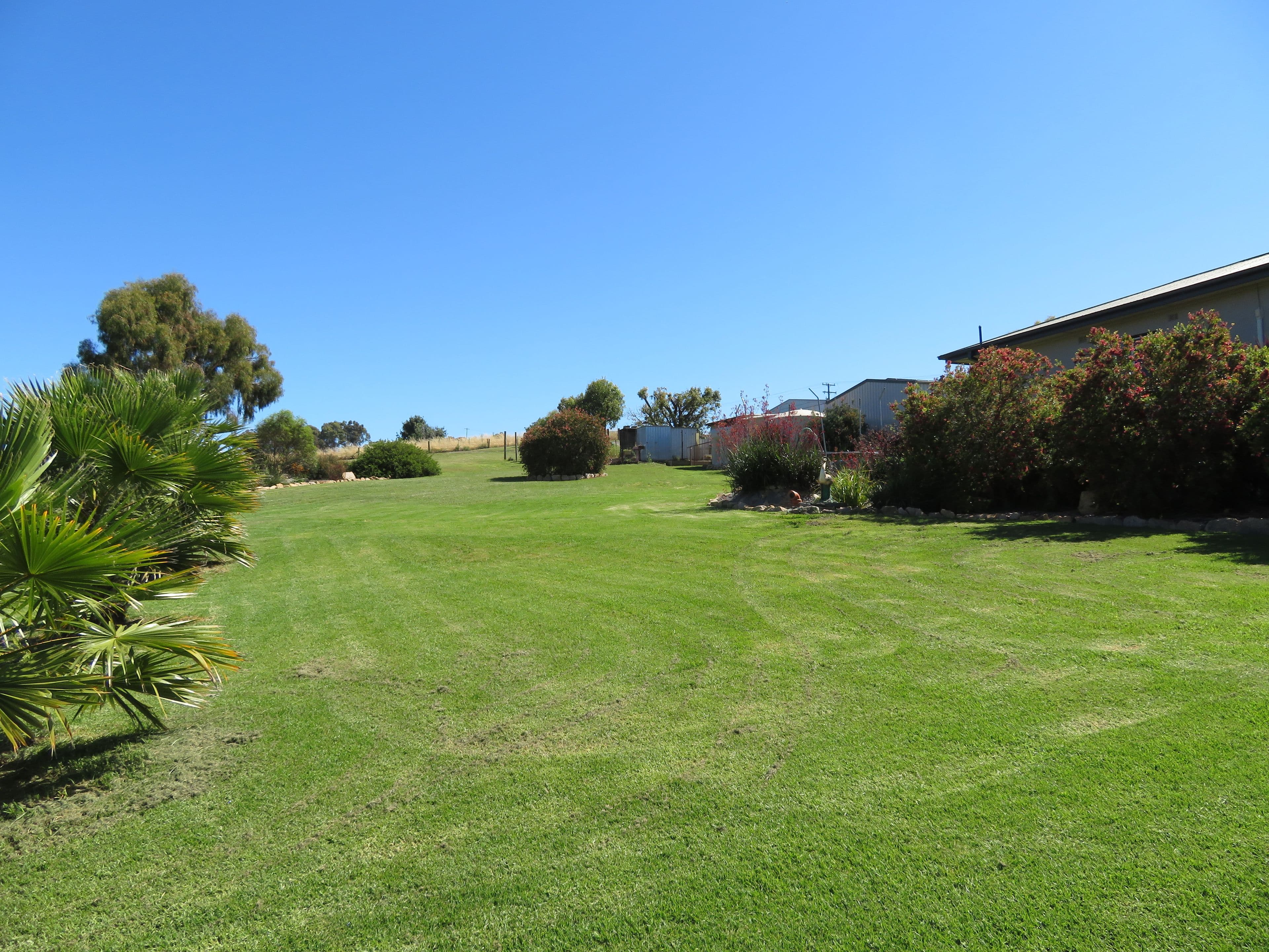 17 Parkes Street, Jugiong NSW 2726, Jugiong - Thumbnail 6