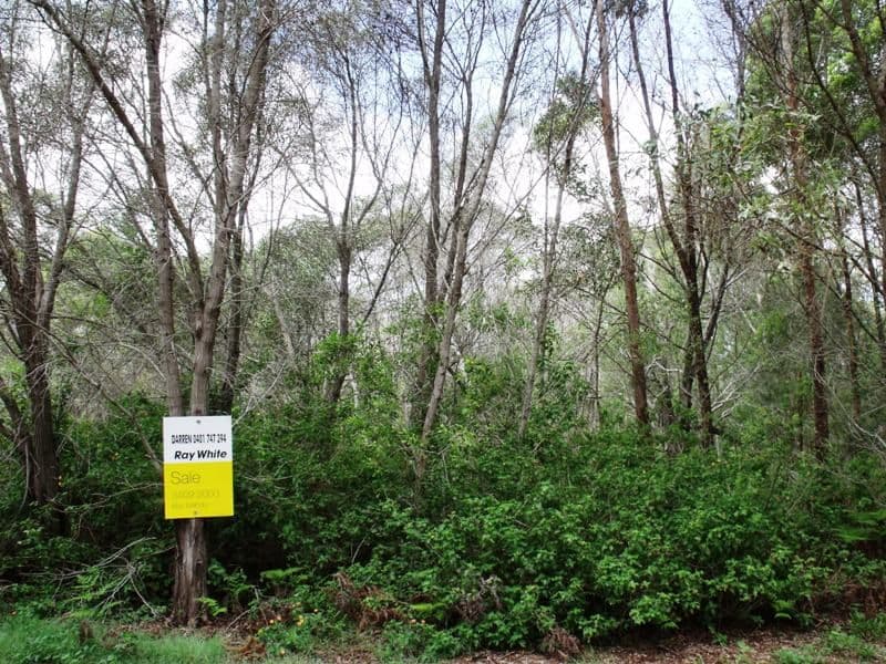 13 Medika Drive, RUSSELL ISLAND QLD 4184, Russell Island - Image 1