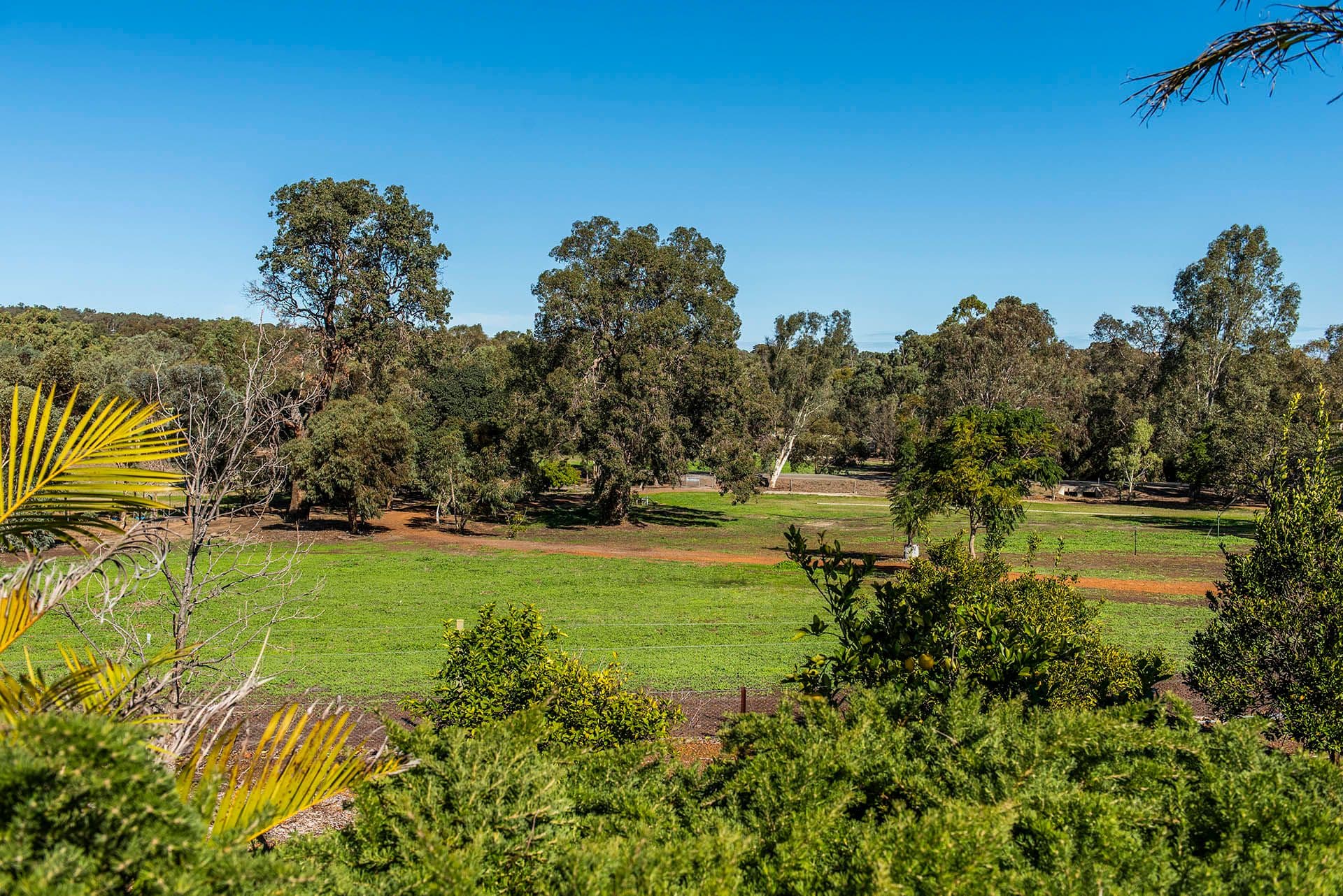 48 Patens Drive, Lower Chittering WA 6084, Lower Chittering - Thumbnail 2