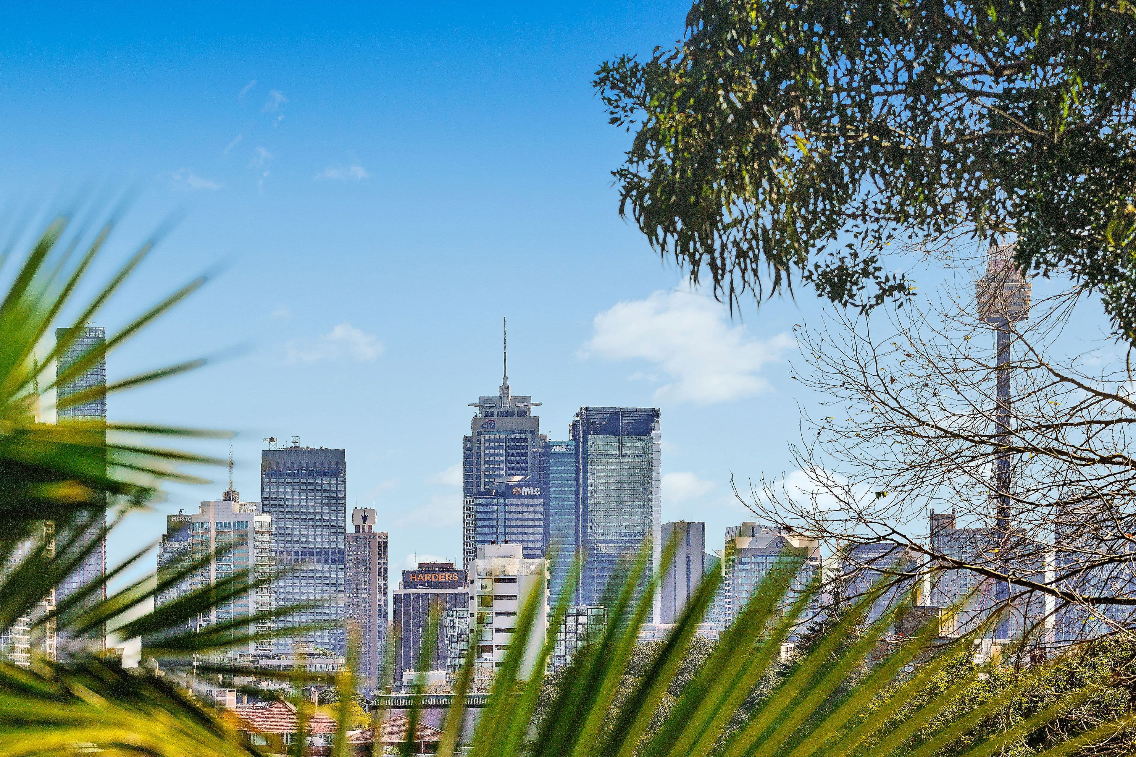5 Kulgoa Road, Bellevue Hill NSW 2023, Bellevue Hill - Thumbnail 5