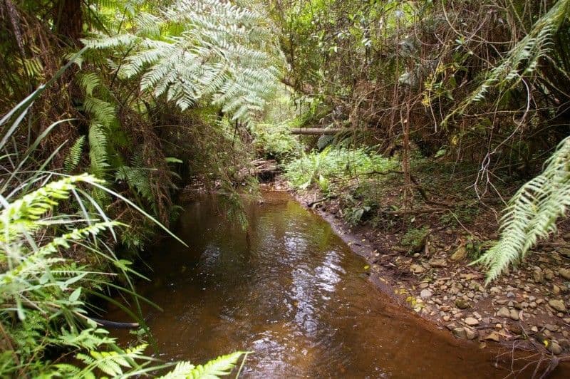 TOOLANGI VIC 3777, Toolangi - Thumbnail 5