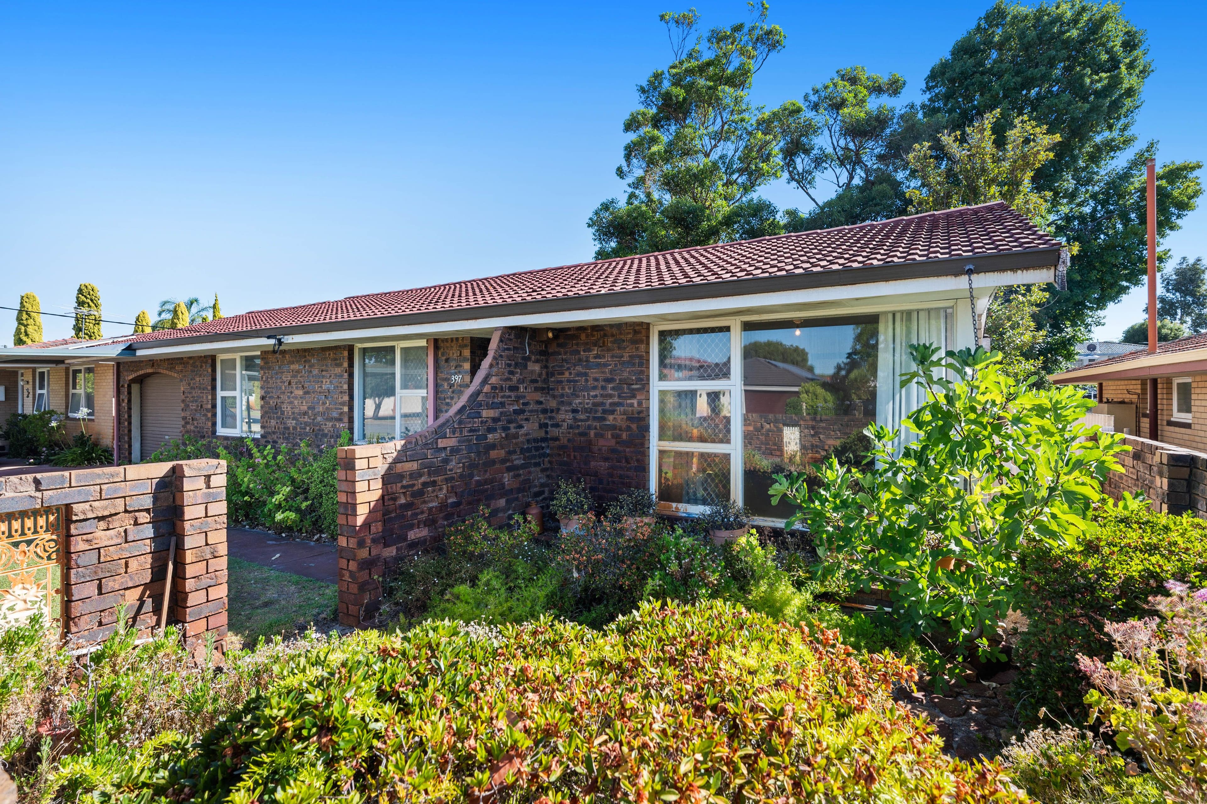 397 Coode Street, Dianella WA 6059, Dianella - Thumbnail 2