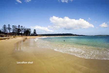 33 Tasman Street, DEE WHY NSW 2099, Dee Why - Thumbnail 8