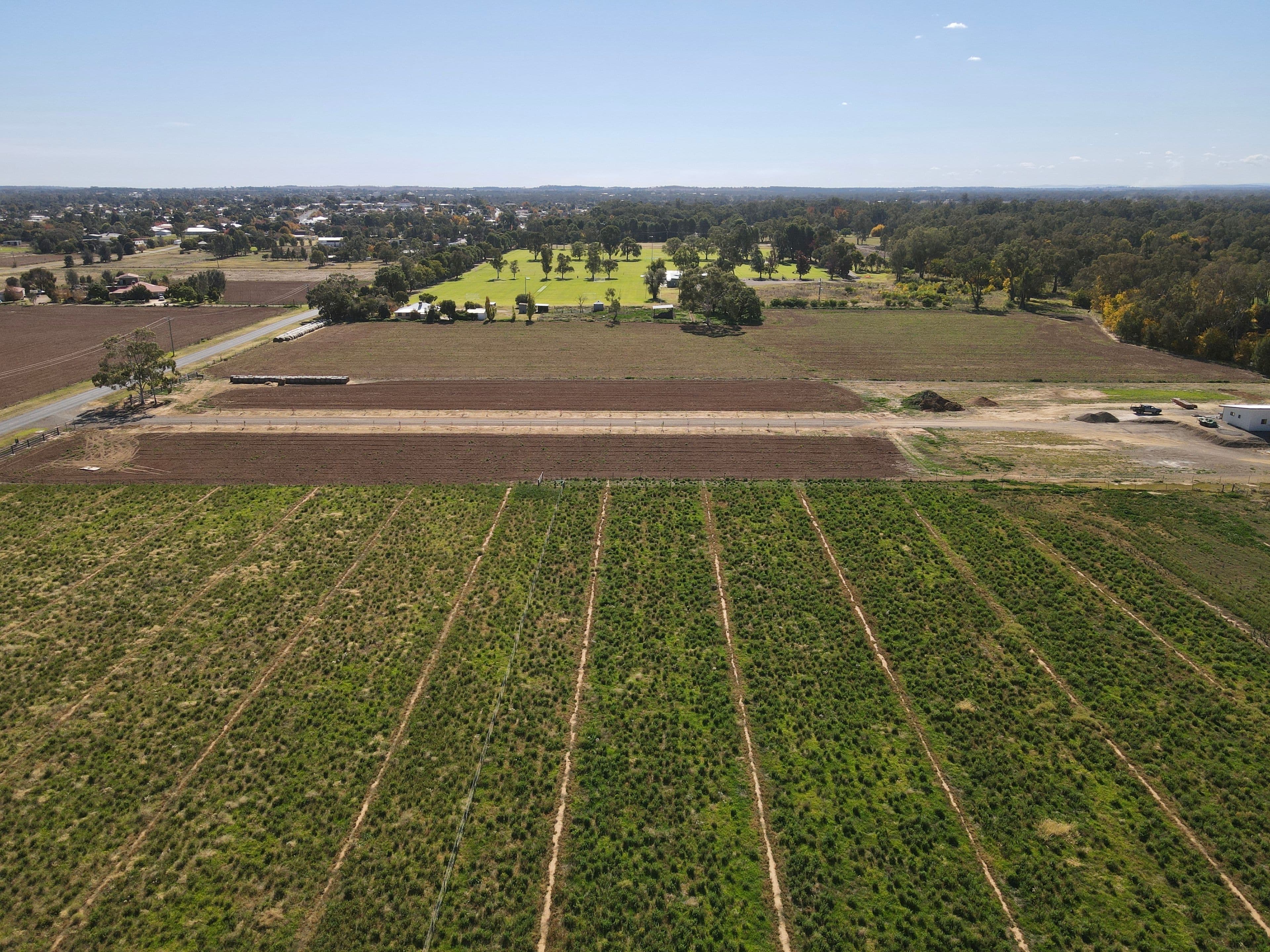 24 College Road, Forbes NSW 2871, Forbes - Thumbnail 4