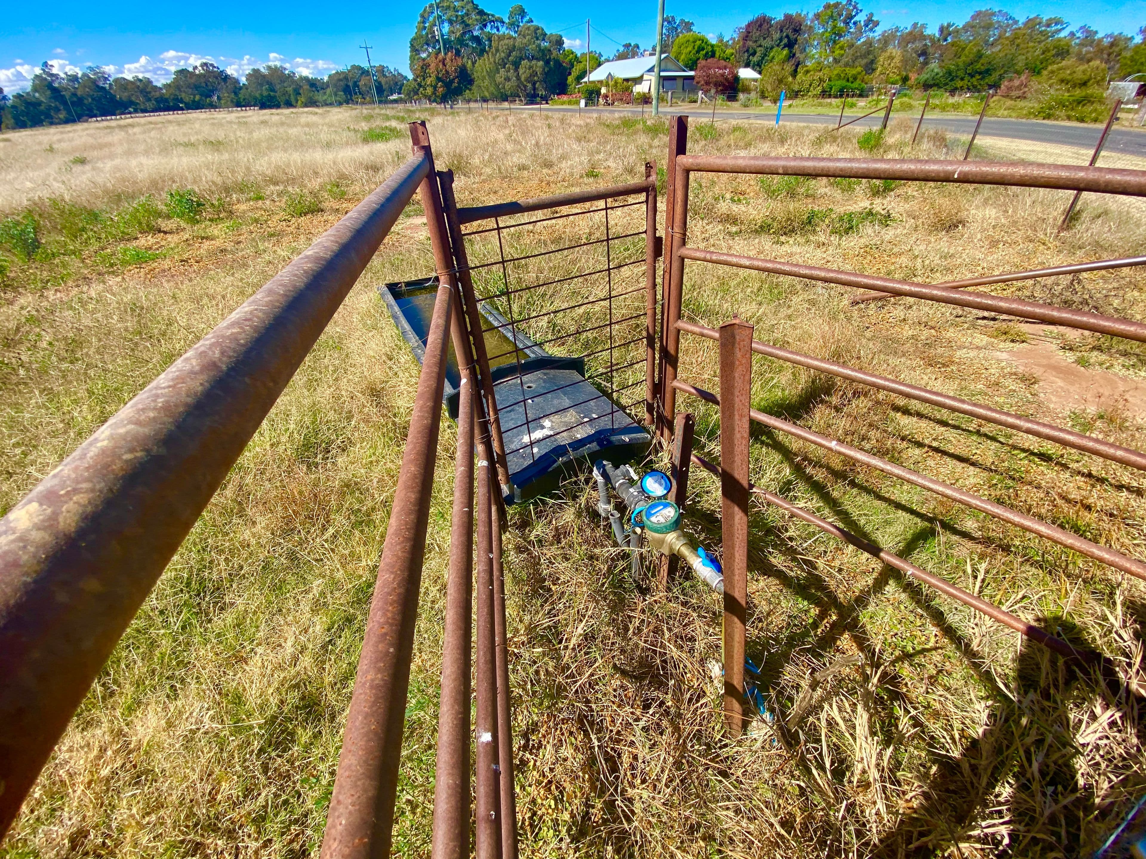 24 College Road, Forbes NSW 2871, Forbes - Thumbnail 5