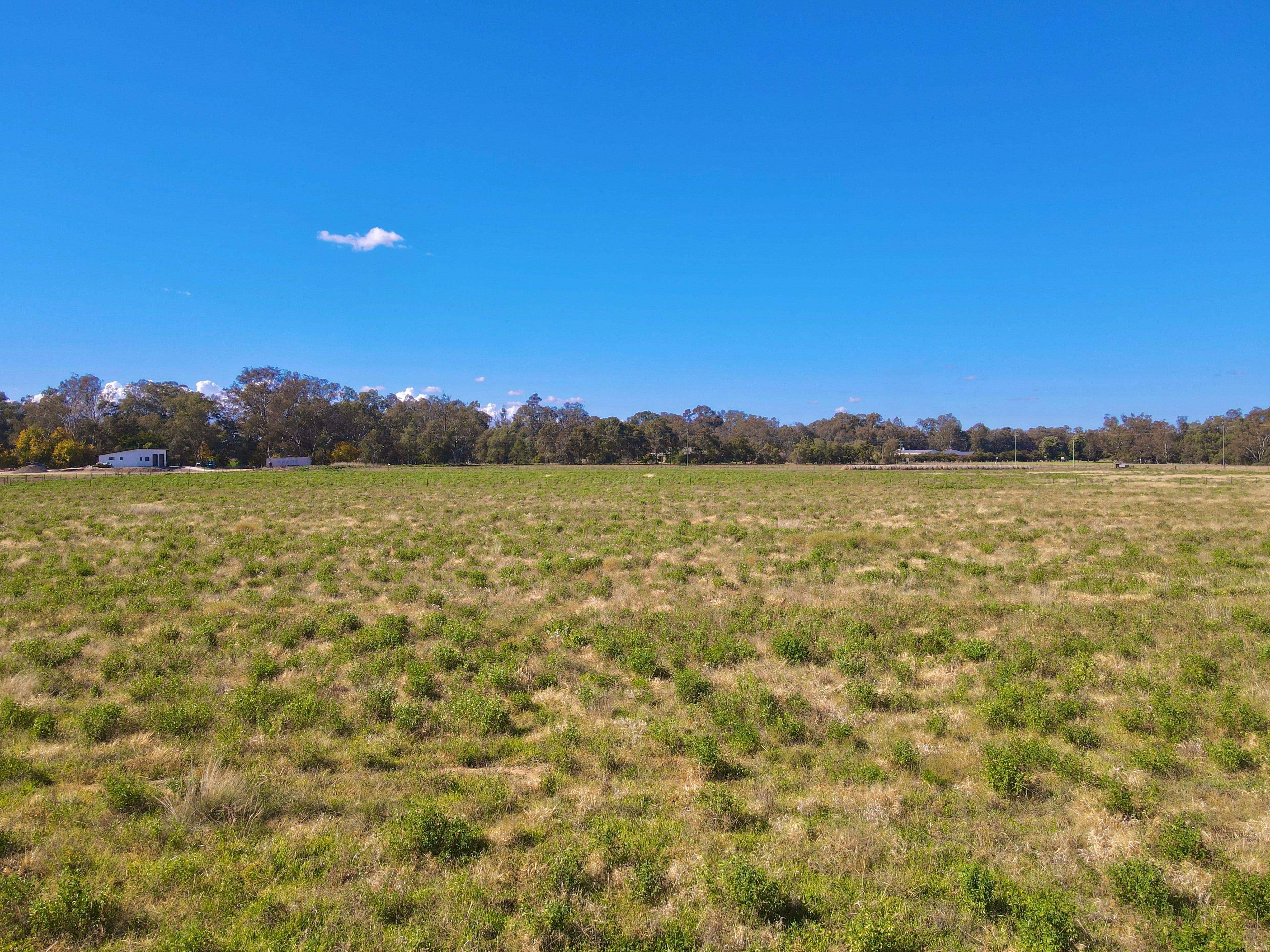 24 College Road, Forbes NSW 2871, Forbes - Thumbnail 7