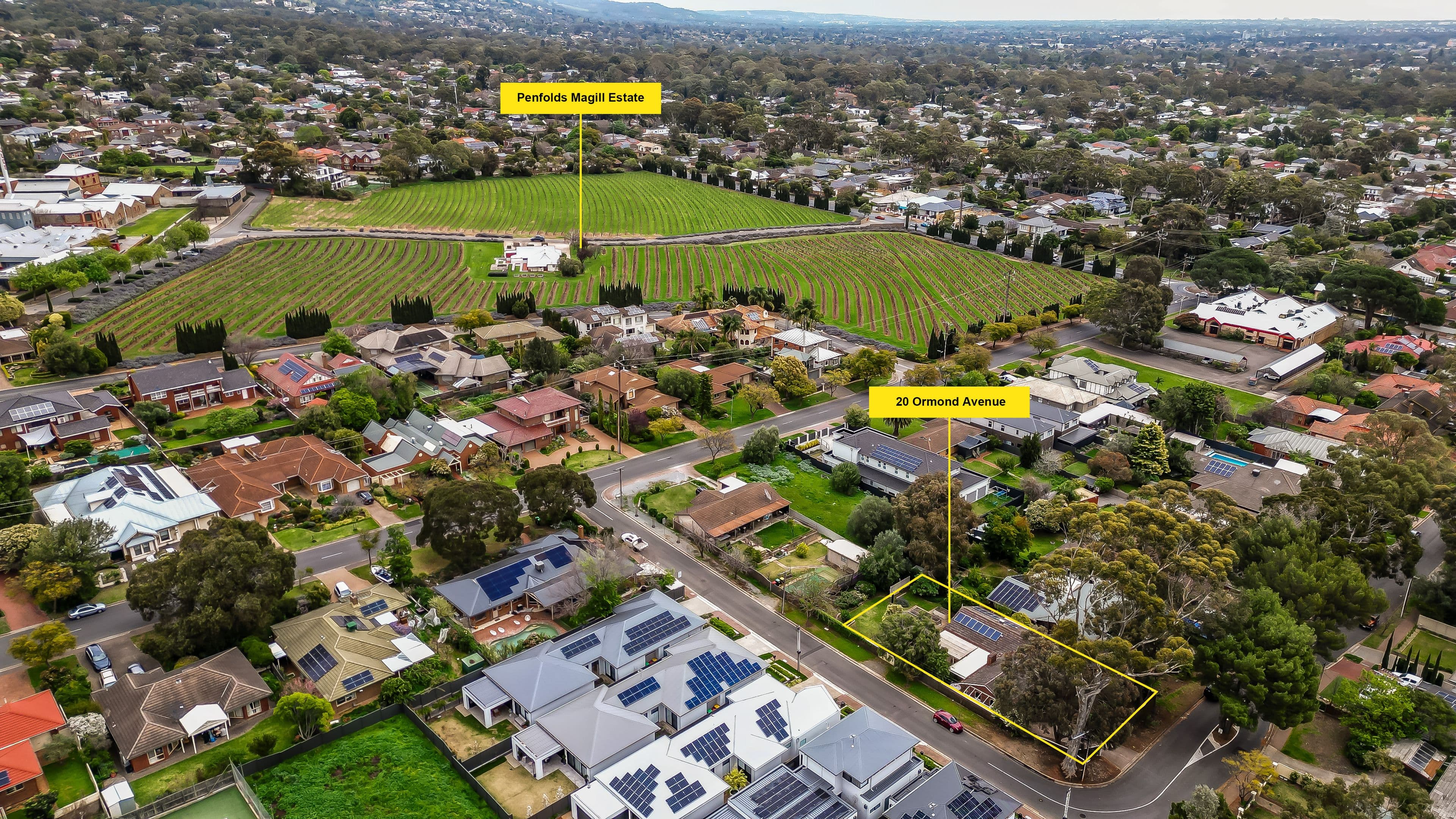 20 Ormond Avenue, Magill SA 5072, Magill - Image 1