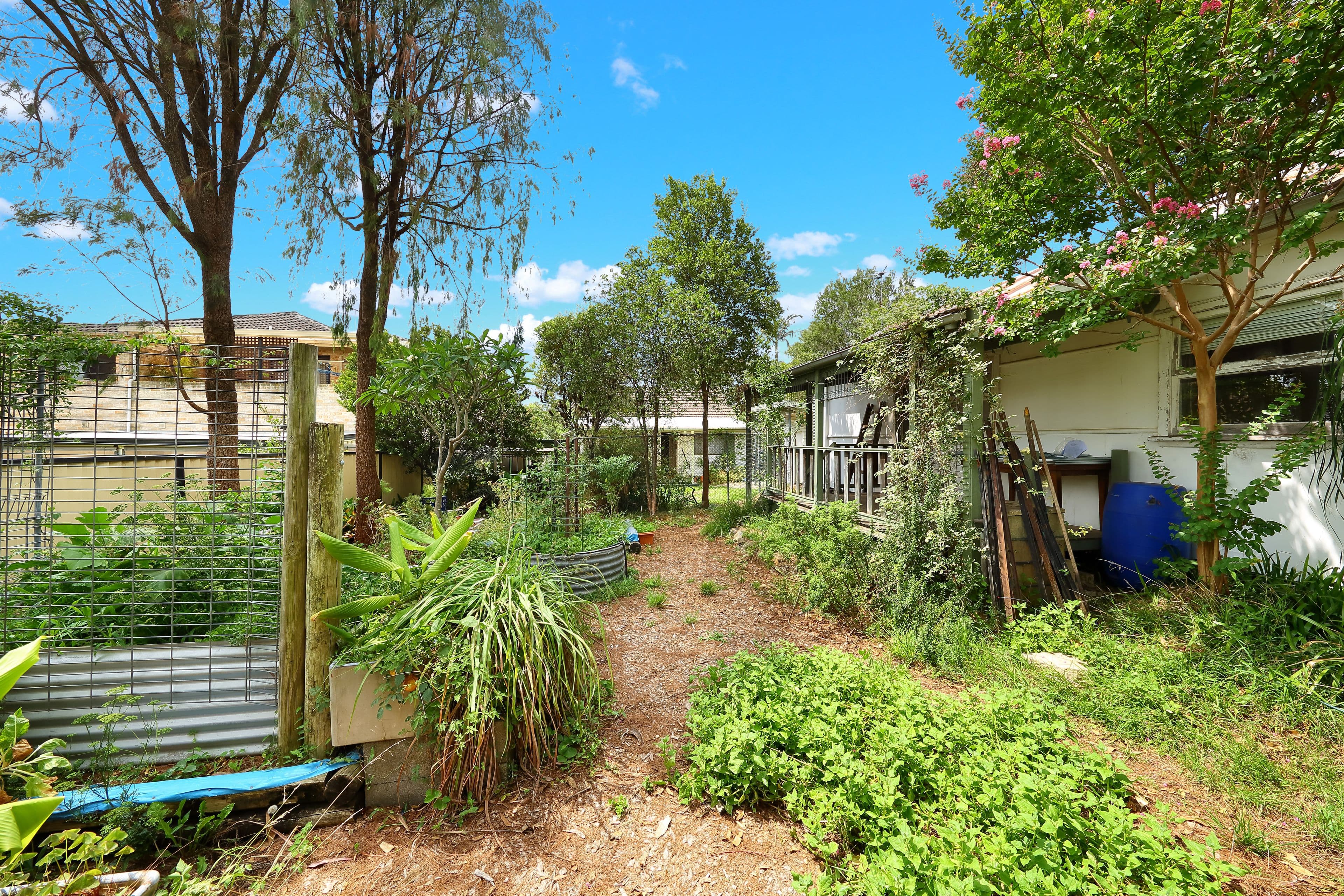 23 Barry Avenue, Mortdale NSW 2223, Mortdale - Thumbnail 5