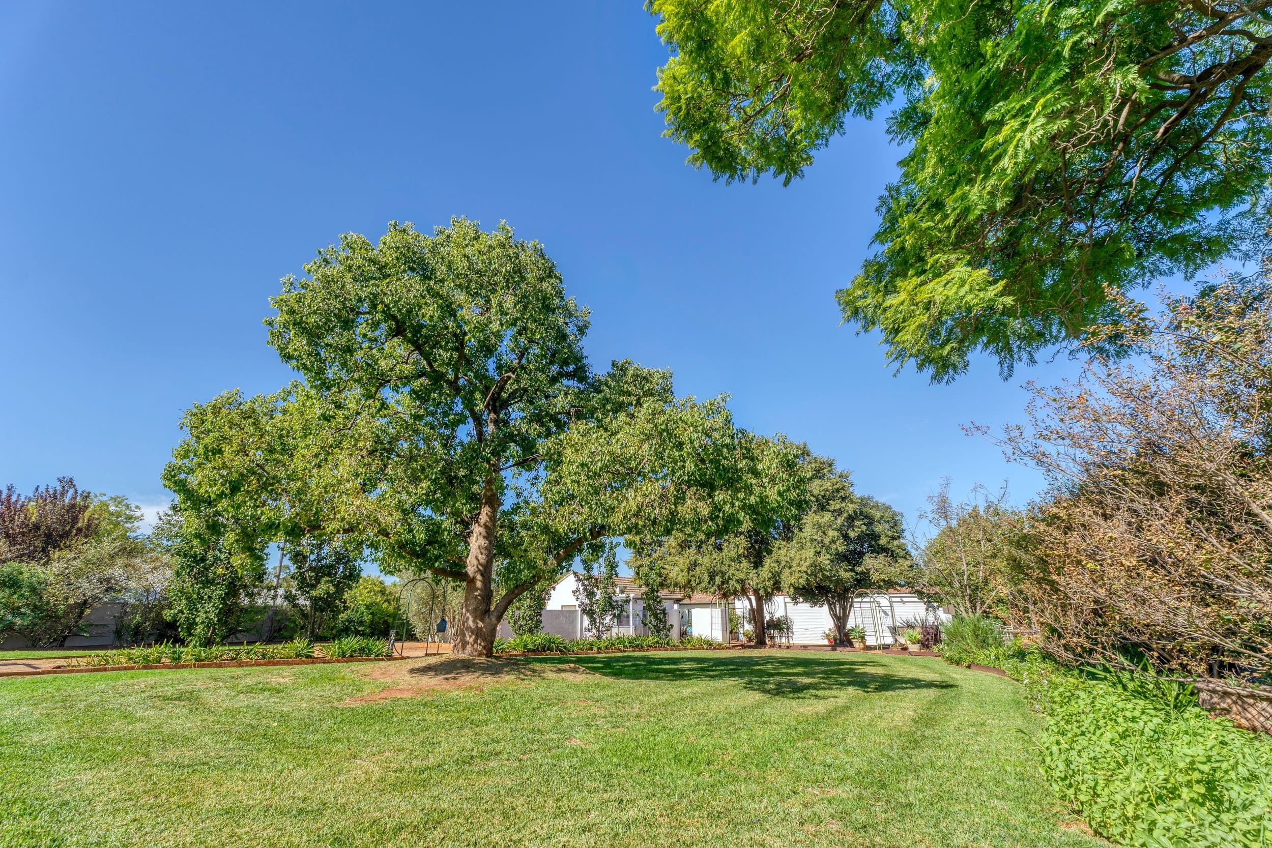 50 Stonehaven Avenue, Dubbo NSW 2830, Dubbo - Thumbnail 2