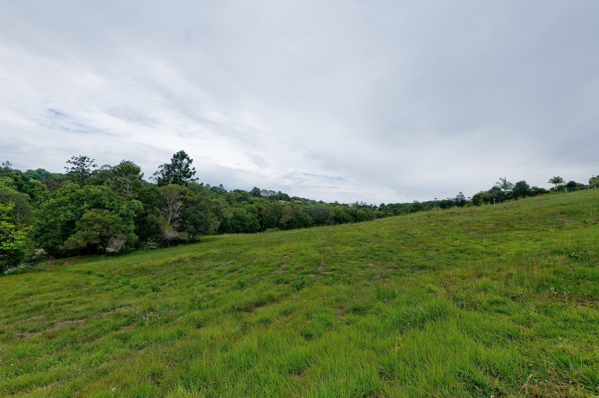 120 Bagnalls Road, Cooroy QLD 4563, Cooroy - Image 1