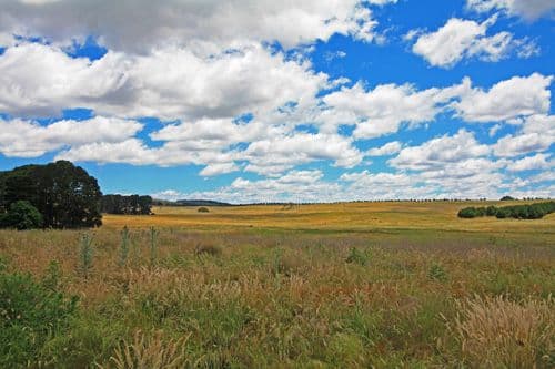 203 Mount Fairy Road, BUNGENDORE NSW 2621, Bungendore - Image 1