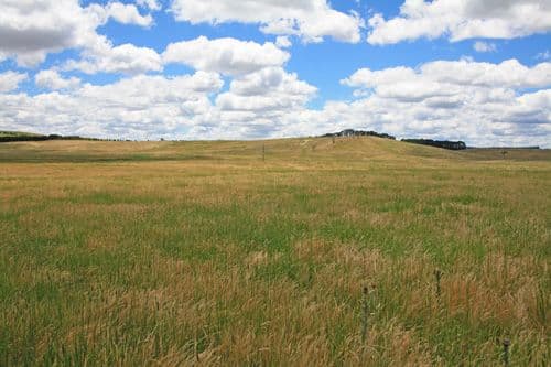 203 Mount Fairy Road, BUNGENDORE NSW 2621, Bungendore - Thumbnail 2