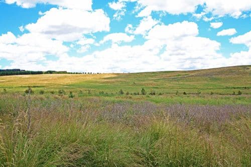 203 Mount Fairy Road, BUNGENDORE NSW 2621, Bungendore - Thumbnail 4