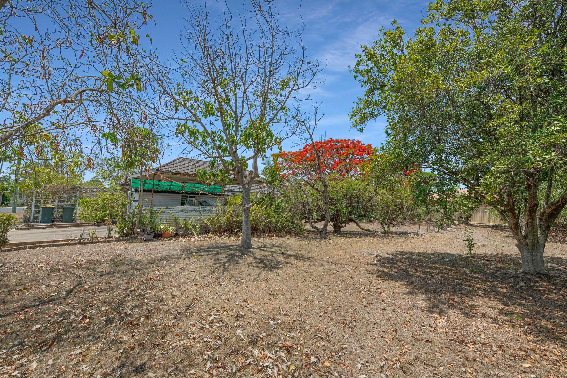 29 Coomber Street, Svensson Heights QLD 4670, Svensson Heights - Thumbnail 5