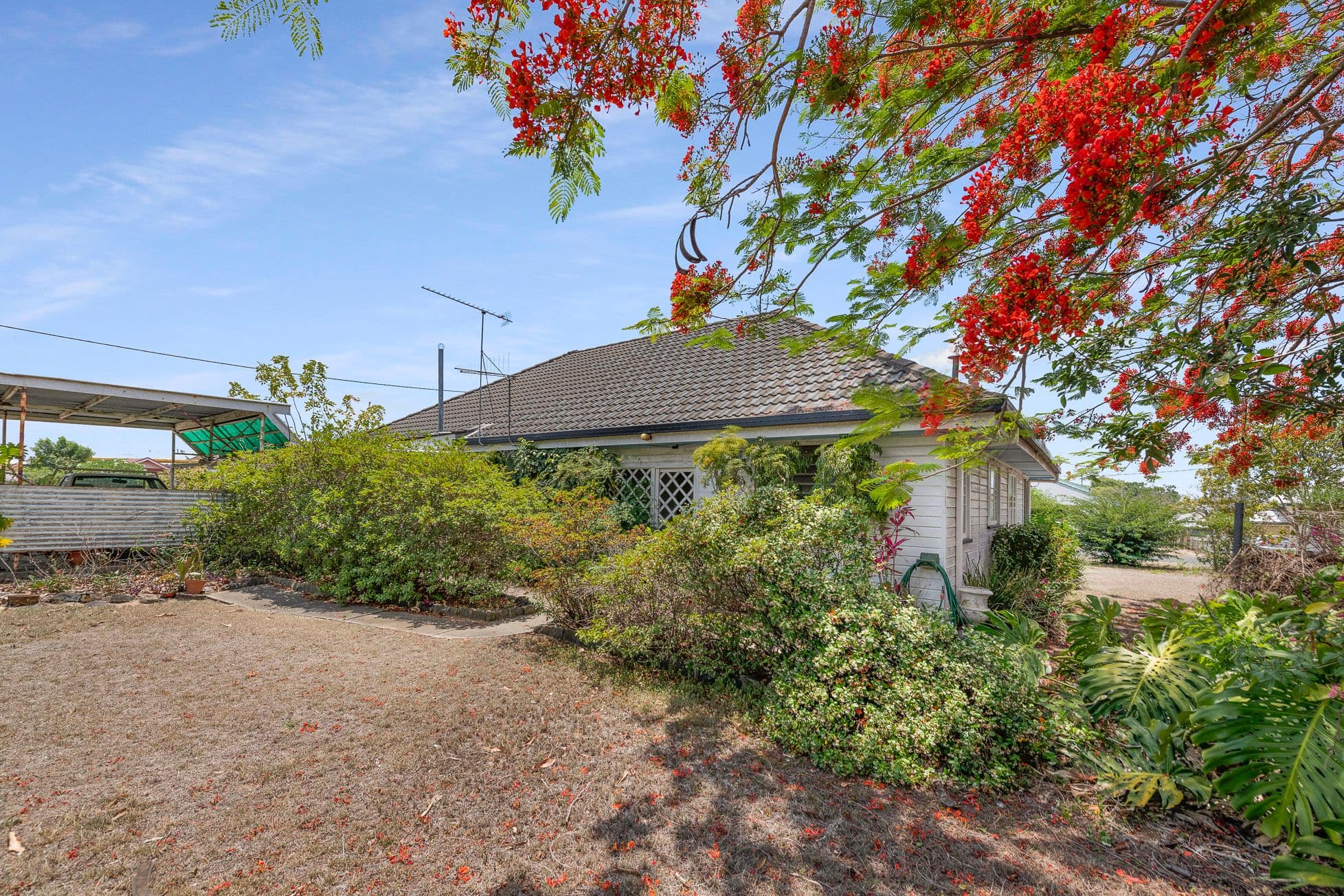 29 Coomber Street, Svensson Heights QLD 4670, Svensson Heights - Thumbnail 7