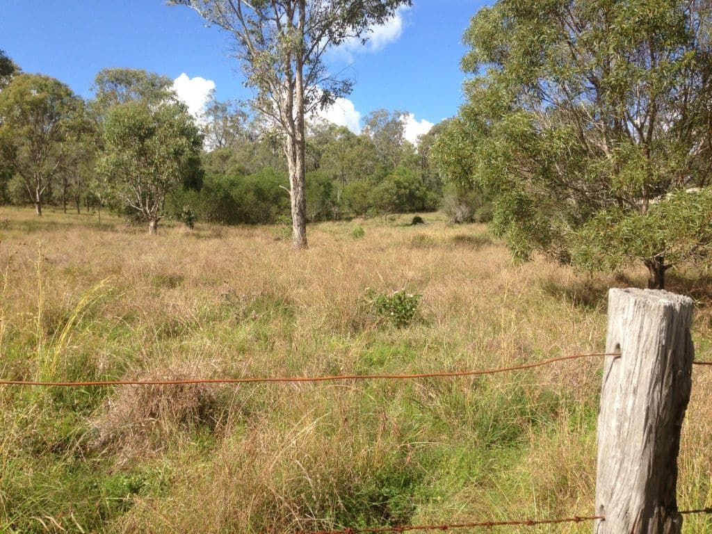 56 Home Street, NANANGO QLD 4615, Nanango - Thumbnail 3