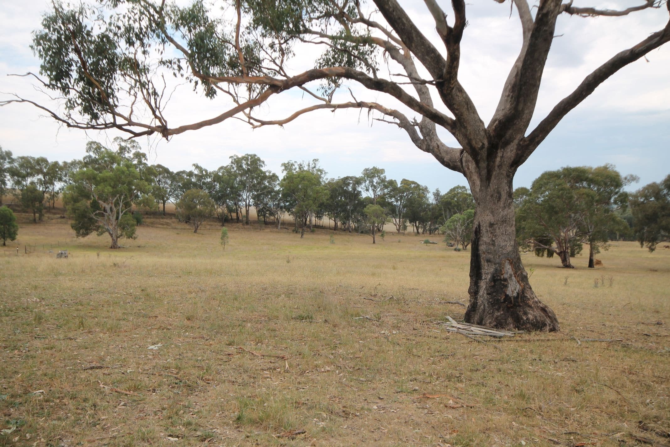 33 Warks Road, Young NSW 2594, Young - Thumbnail 3