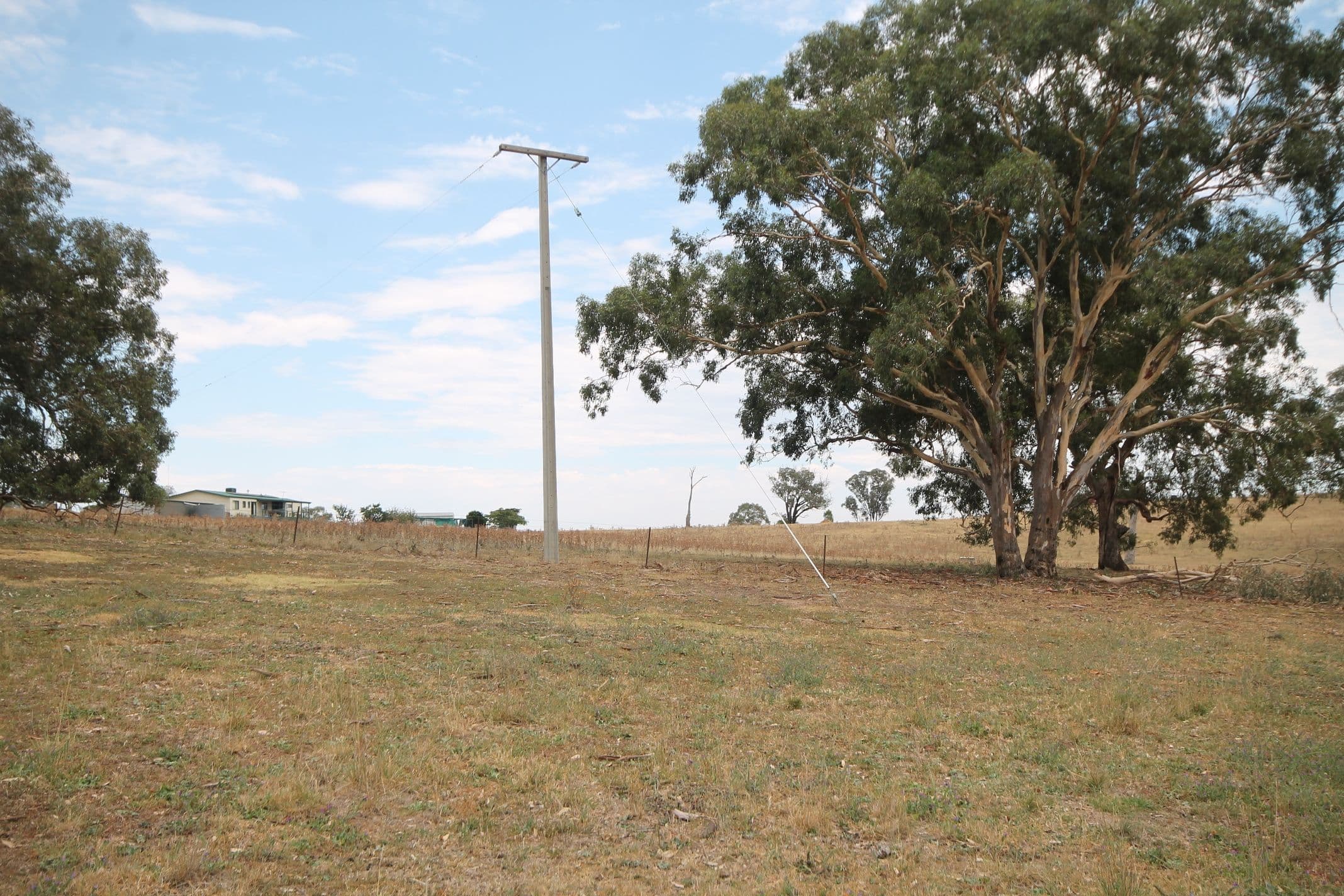 33 Warks Road, Young NSW 2594, Young - Thumbnail 5
