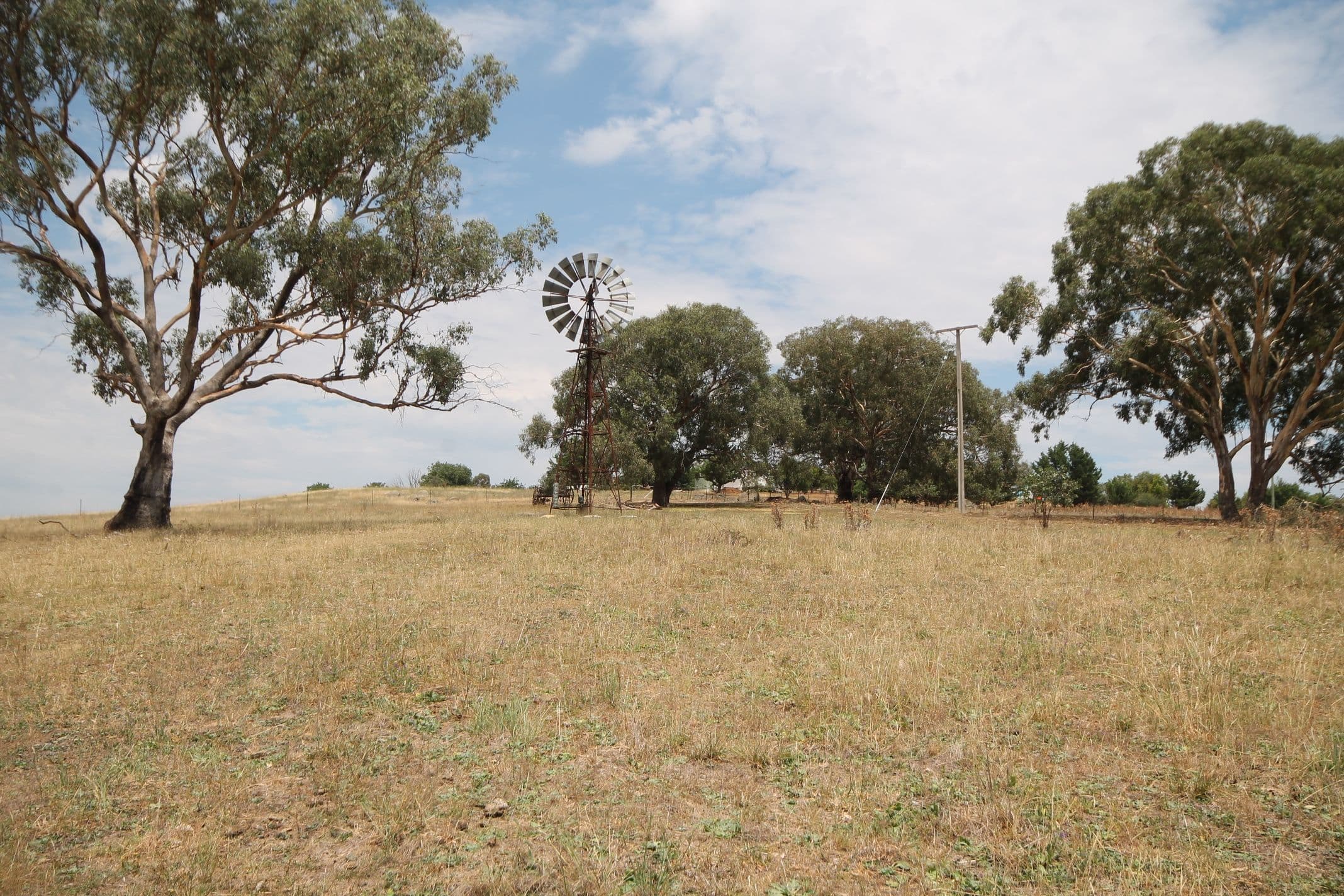 33 Warks Road, Young NSW 2594, Young - Thumbnail 8