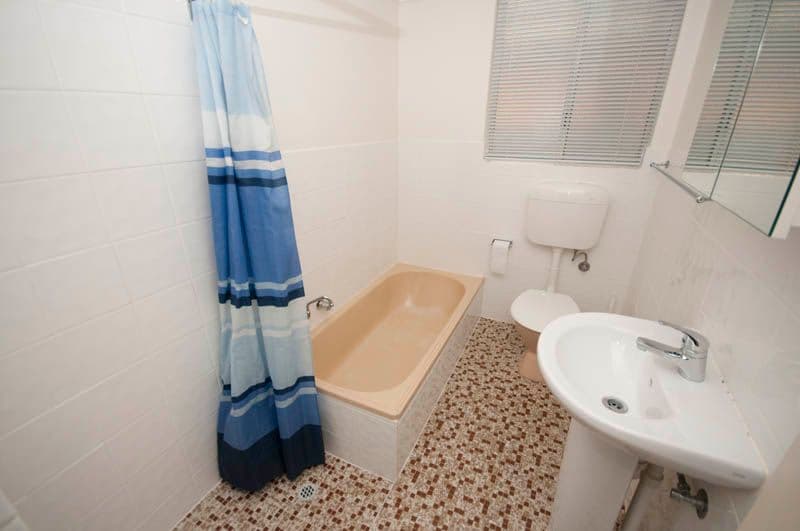 17 Audrey Street, ASCOT PARK SA 5043, Ascot Park - Thumbnail 6