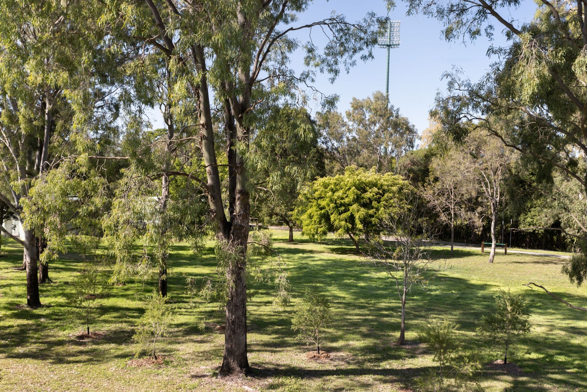 71 Murray Street, Wilston QLD 4051, Wilston - Thumbnail 3