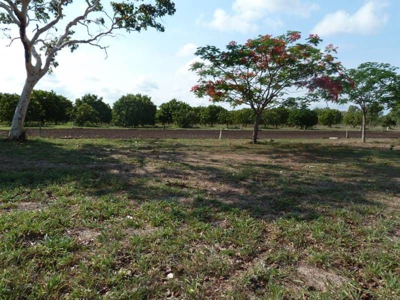 740 Florina Road, KATHERINE NT 0850, Katherine - Thumbnail 4