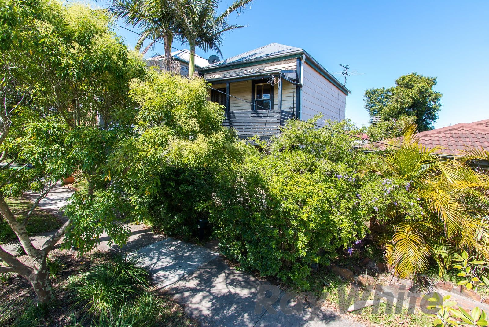 54 Gipps Street, Carrington - Image 1