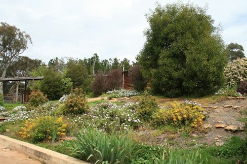 3A Cynthia Street, Para Hills, SA, 5096, Para Hills - Thumbnail 3