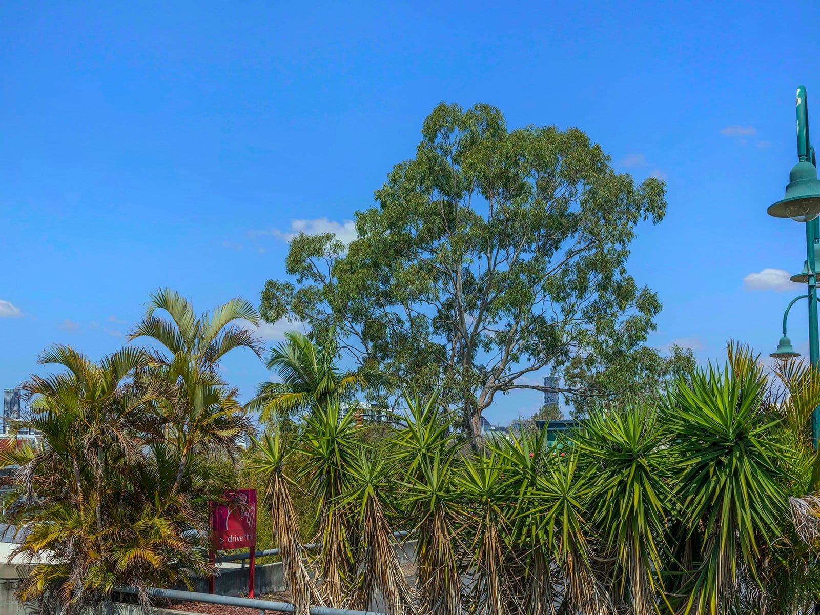 183 Kelvin Grove Road, Kelvin Grove QLD 4059, Kelvin Grove - Thumbnail 5