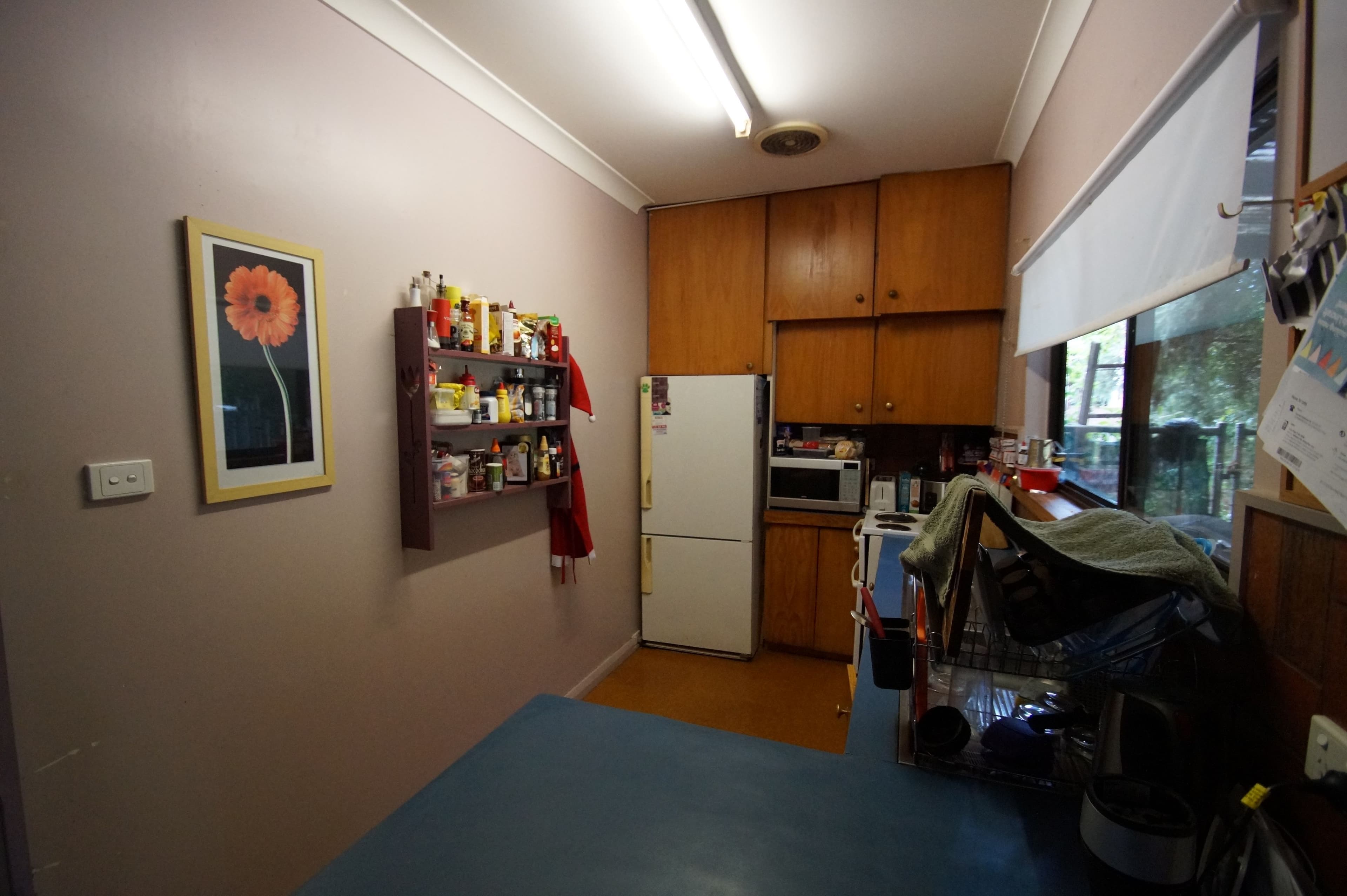 28 Hargrave Street, Armidale - Thumbnail 3