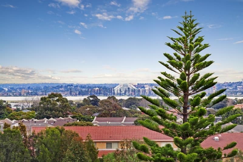 8 Holloway Street, PAGEWOOD NSW 2035, Pagewood - Thumbnail 7