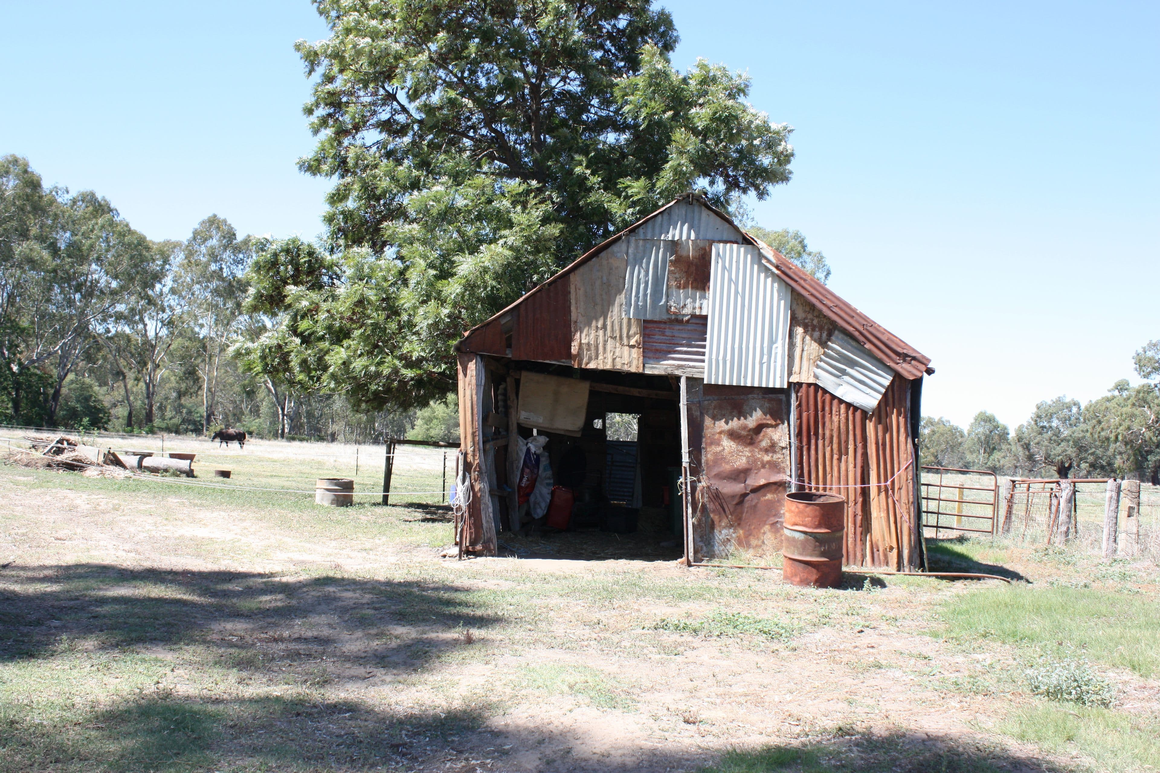 70 River Street, Corowa NSW 2646, Corowa - Thumbnail 4