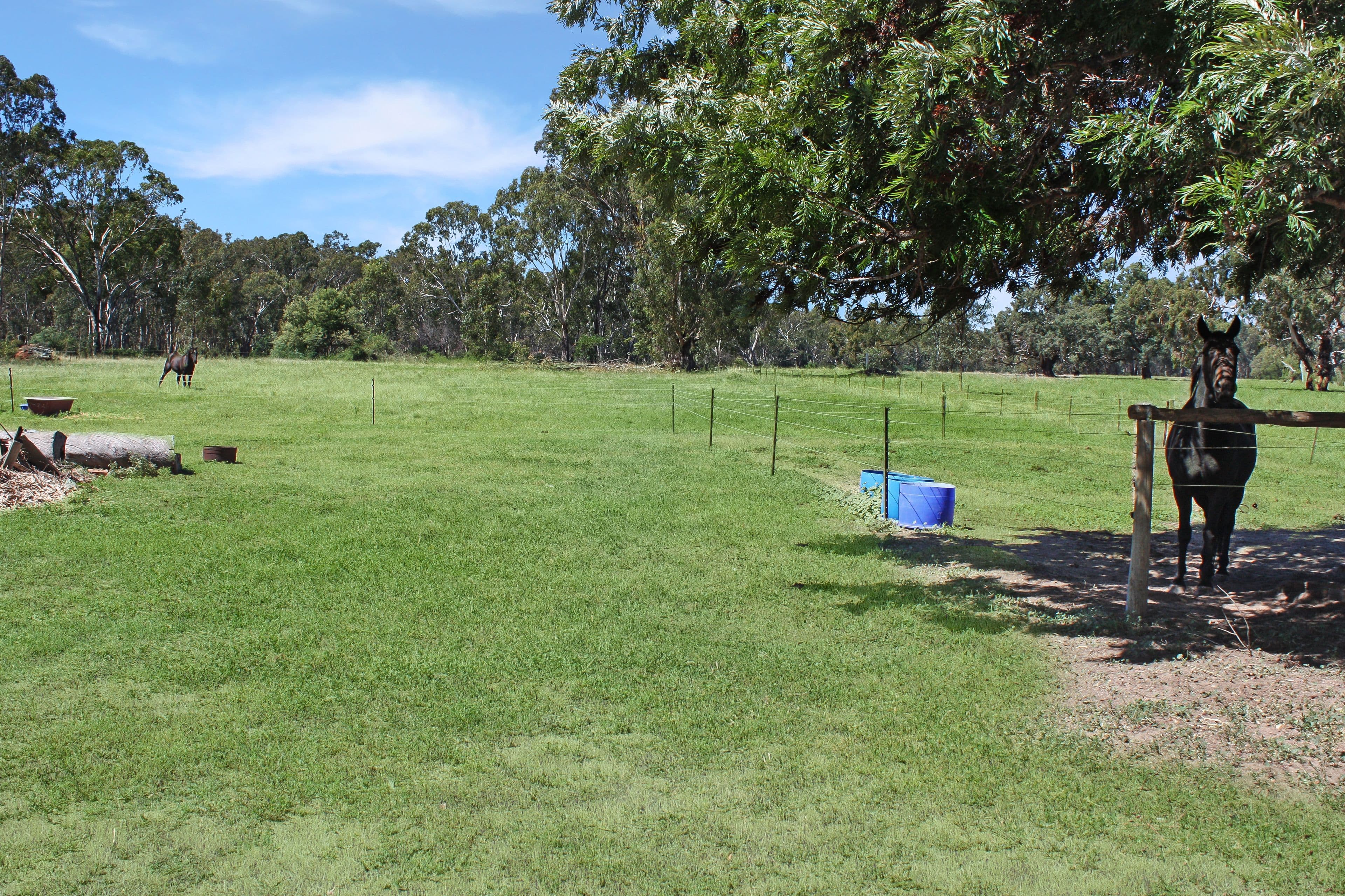 70 River Street, Corowa NSW 2646, Corowa - Thumbnail 5