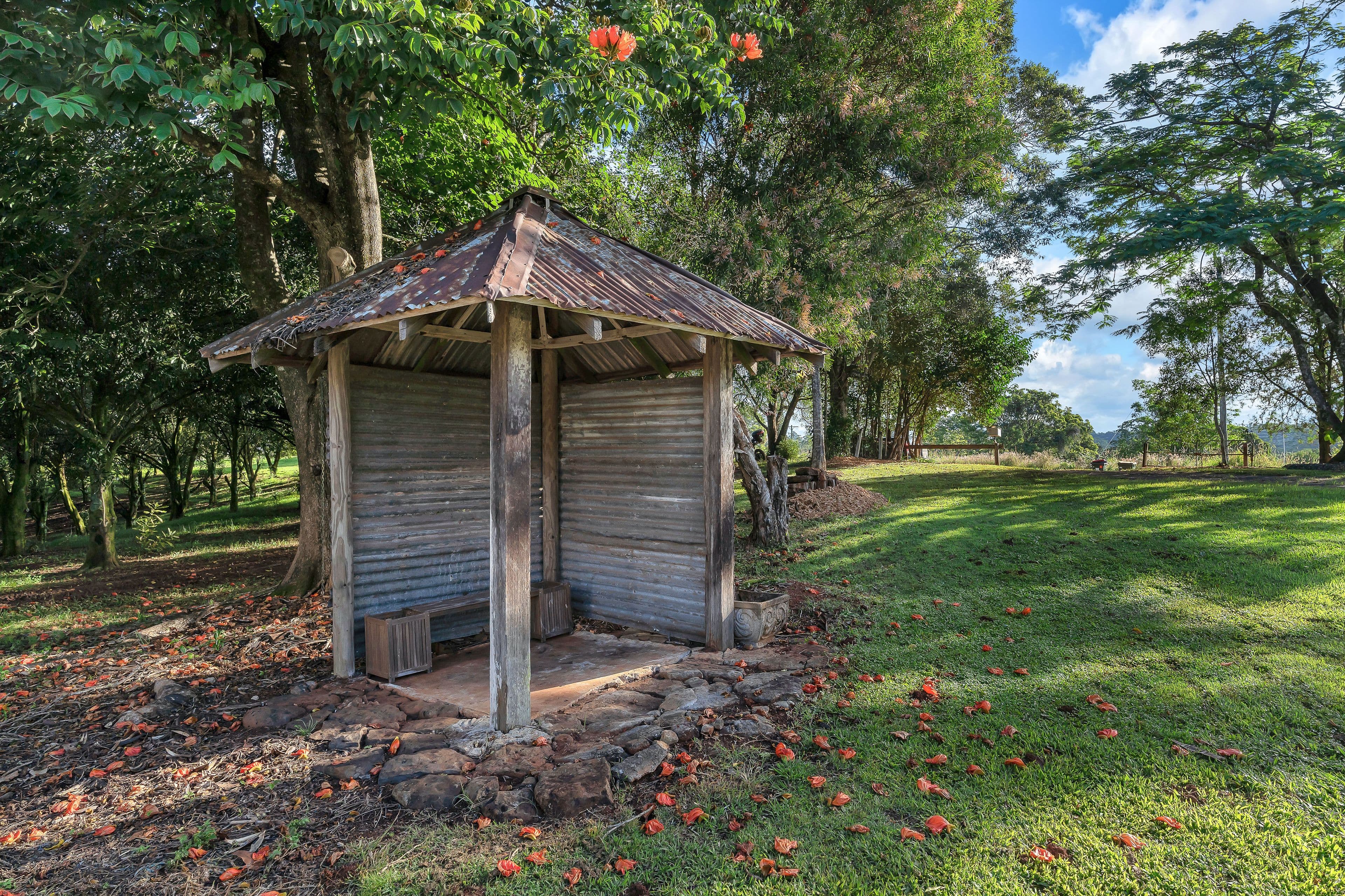364 Dorroughby Road, Corndale NSW 2480, Corndale - Thumbnail 6
