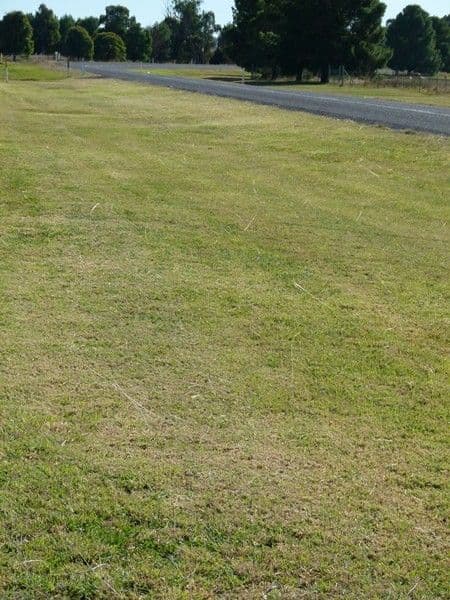 LOT 2 Calarie Road, FORBES NSW 2871, Forbes - Thumbnail 5