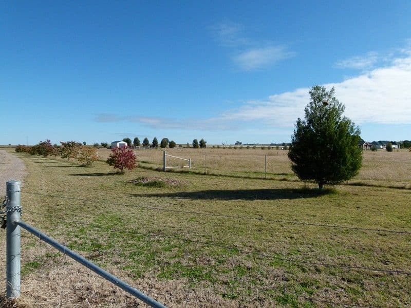 LOT 2 Calarie Road, FORBES NSW 2871, Forbes - Thumbnail 6