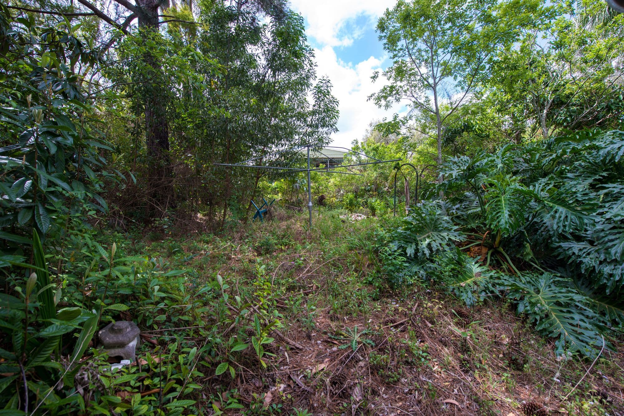 41 Wooraka Street, Rochedale South QLD 4123, Rochedale South - Thumbnail 2