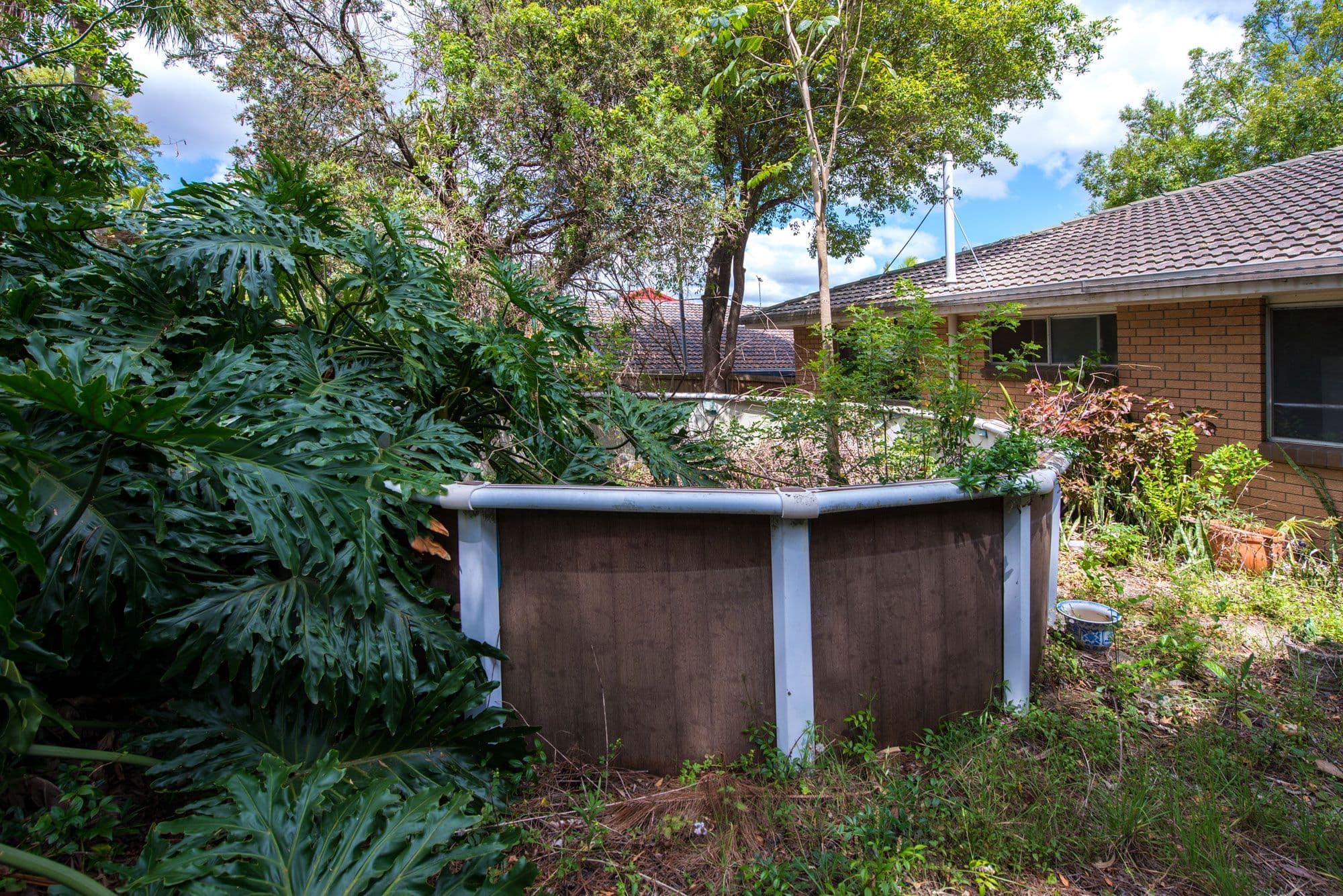 41 Wooraka Street, Rochedale South QLD 4123, Rochedale South - Thumbnail 3