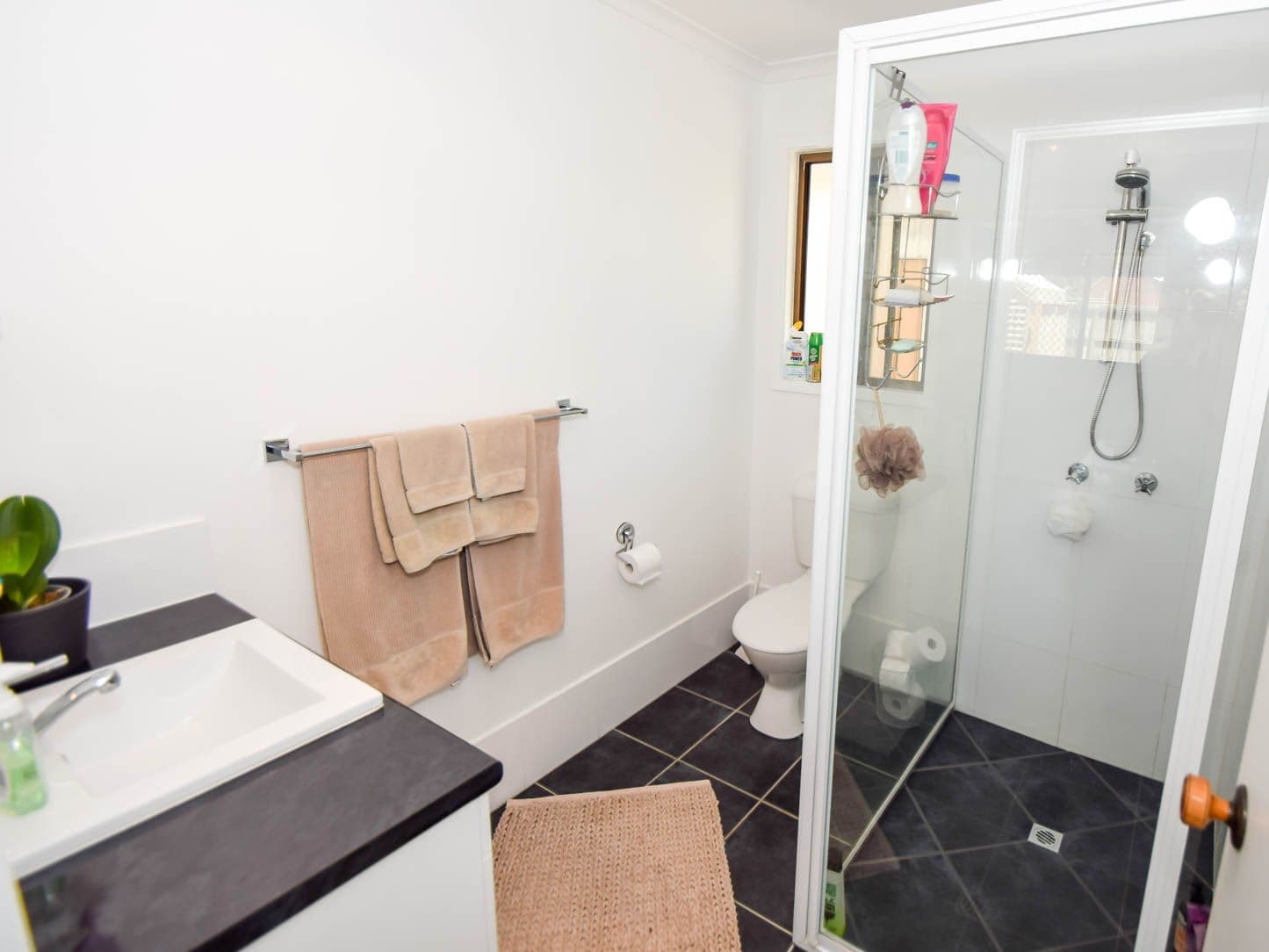 5 Finland Road, Bli Bli QLD 4560, Bli Bli - Thumbnail 6