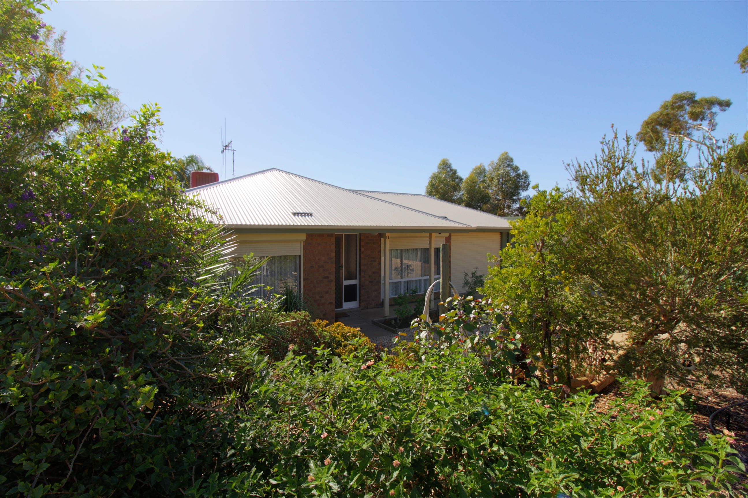11 Westbrook Avenue, Loxton SA 5333, Loxton - Thumbnail 2