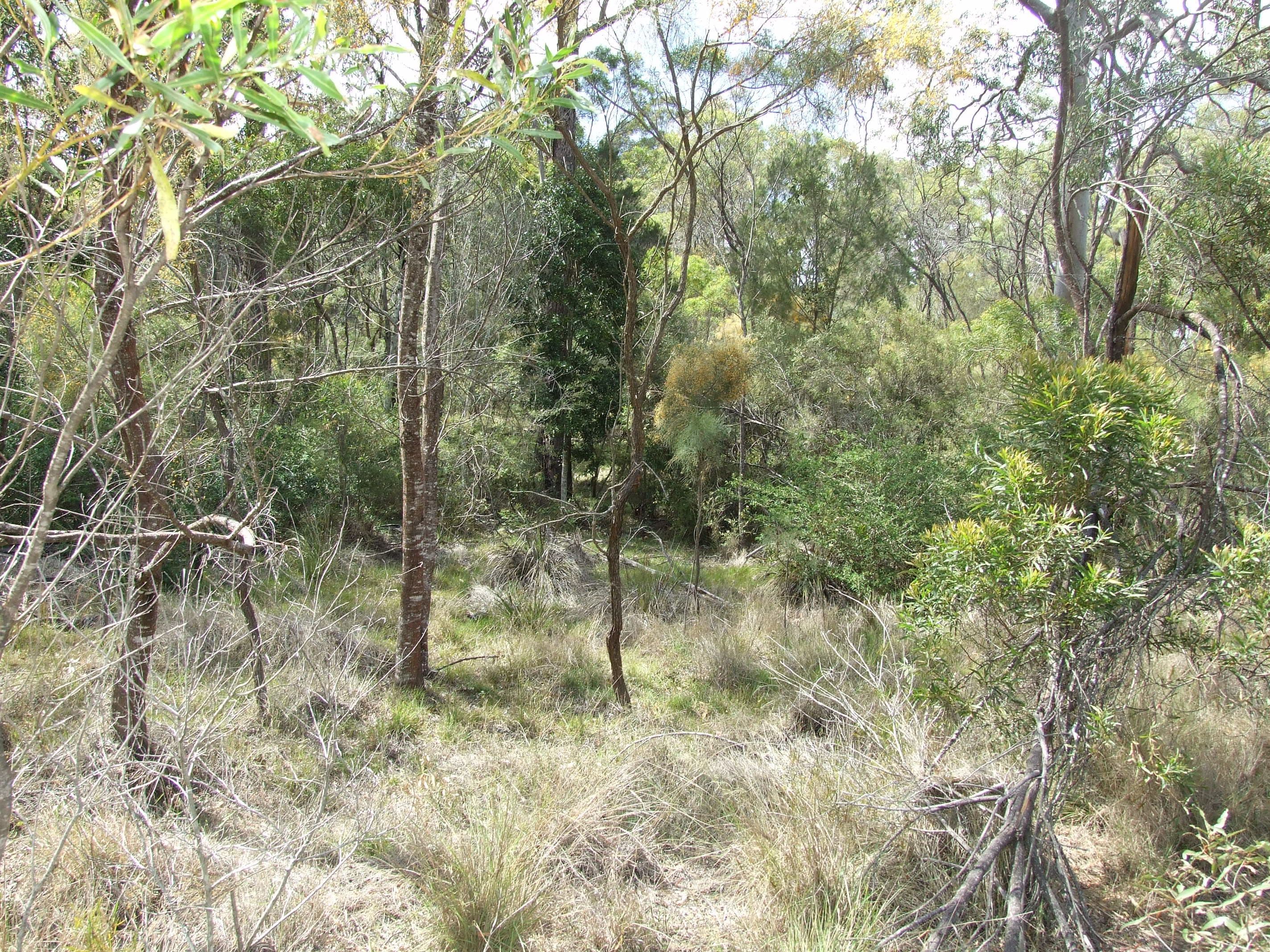 4 Pinnell Road, Crows Nest QLD 4355, Crows Nest - Image 1