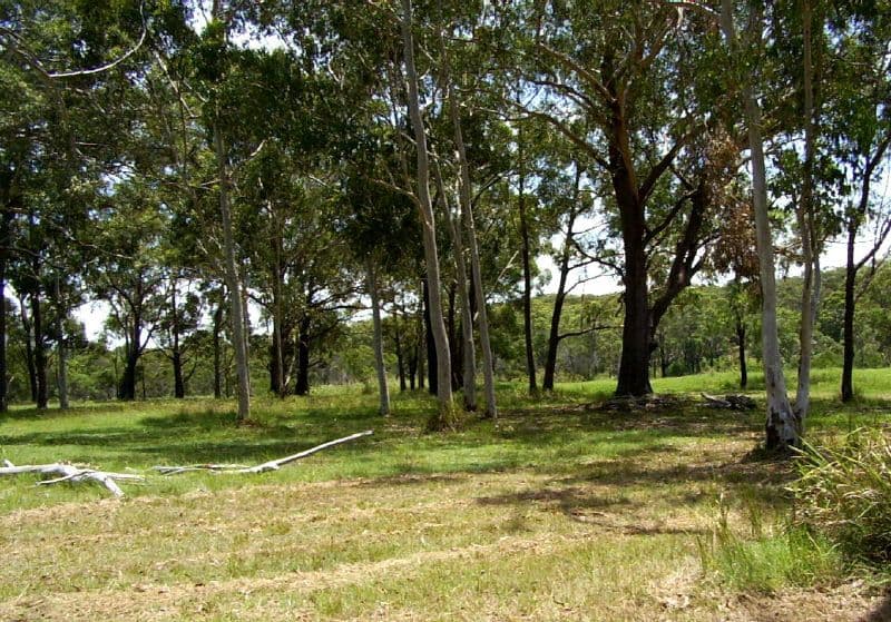 16 Skiff Street, Russell Island QLD 4184, Russell Island - Image 1