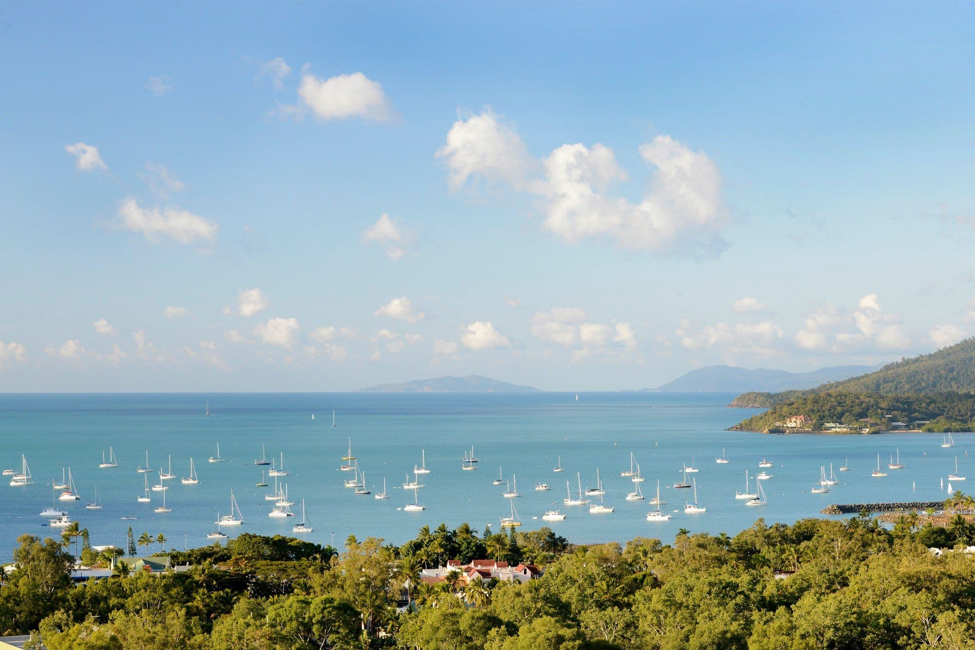 8 Laguna Court, Airlie Beach QLD 4802, Airlie Beach - Thumbnail 6