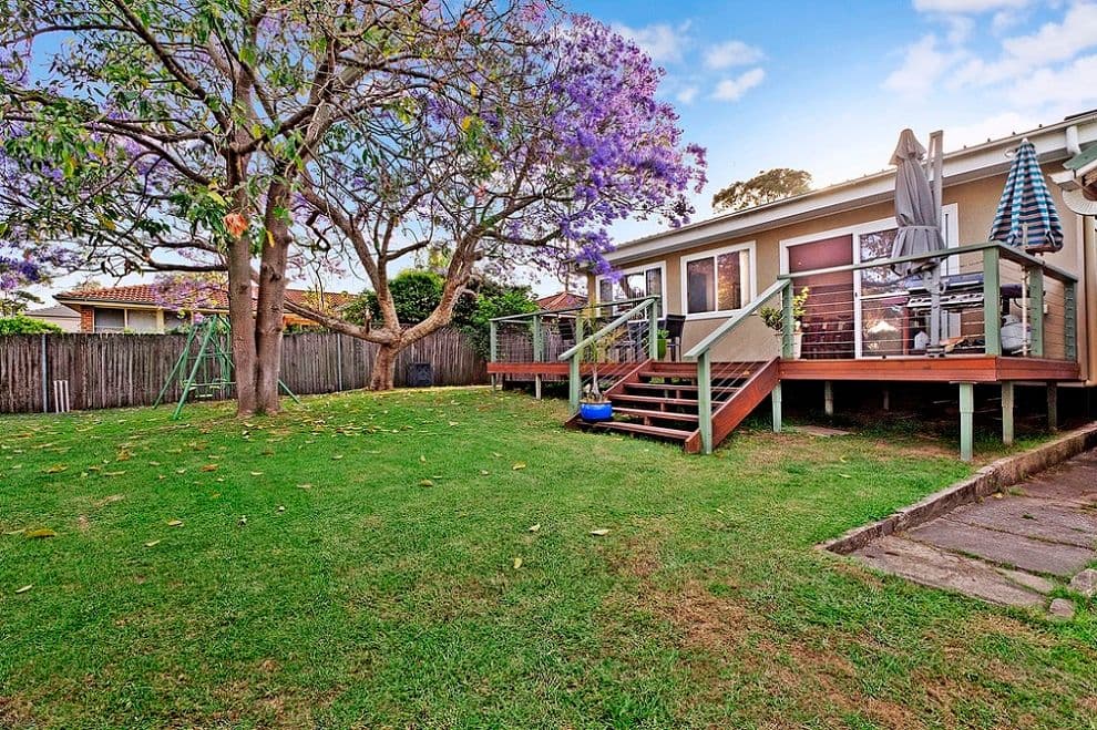 31 Cook Street, Forestville NSW 2087, Forestville - Thumbnail 5