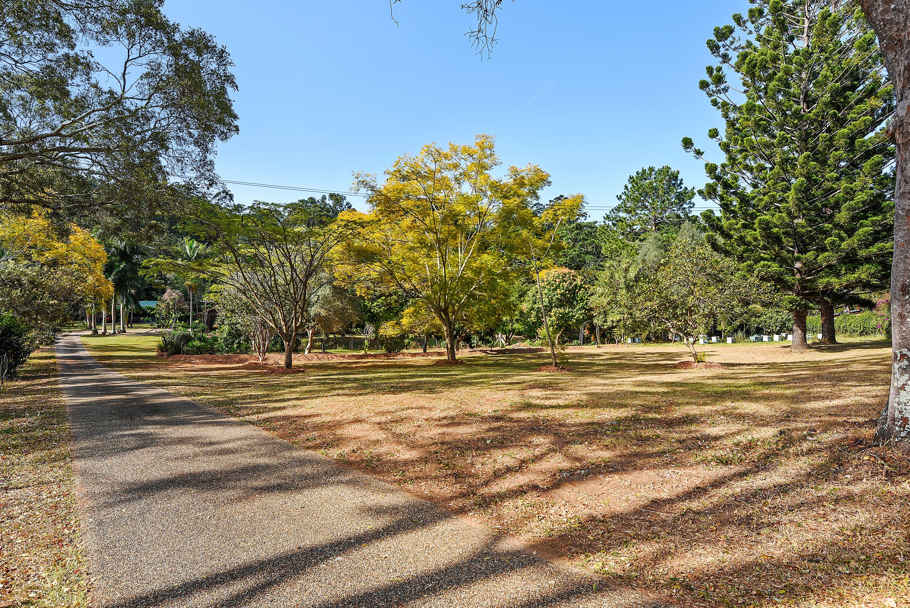 58 Berrigans Road, Mudgeeraba QLD 4213, Mudgeeraba - Thumbnail 3